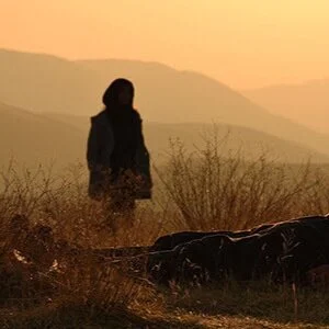 There Is No Evil takes an epic, four-chapter look at capital punishment in Iran, at The Cinematheque to June 3
