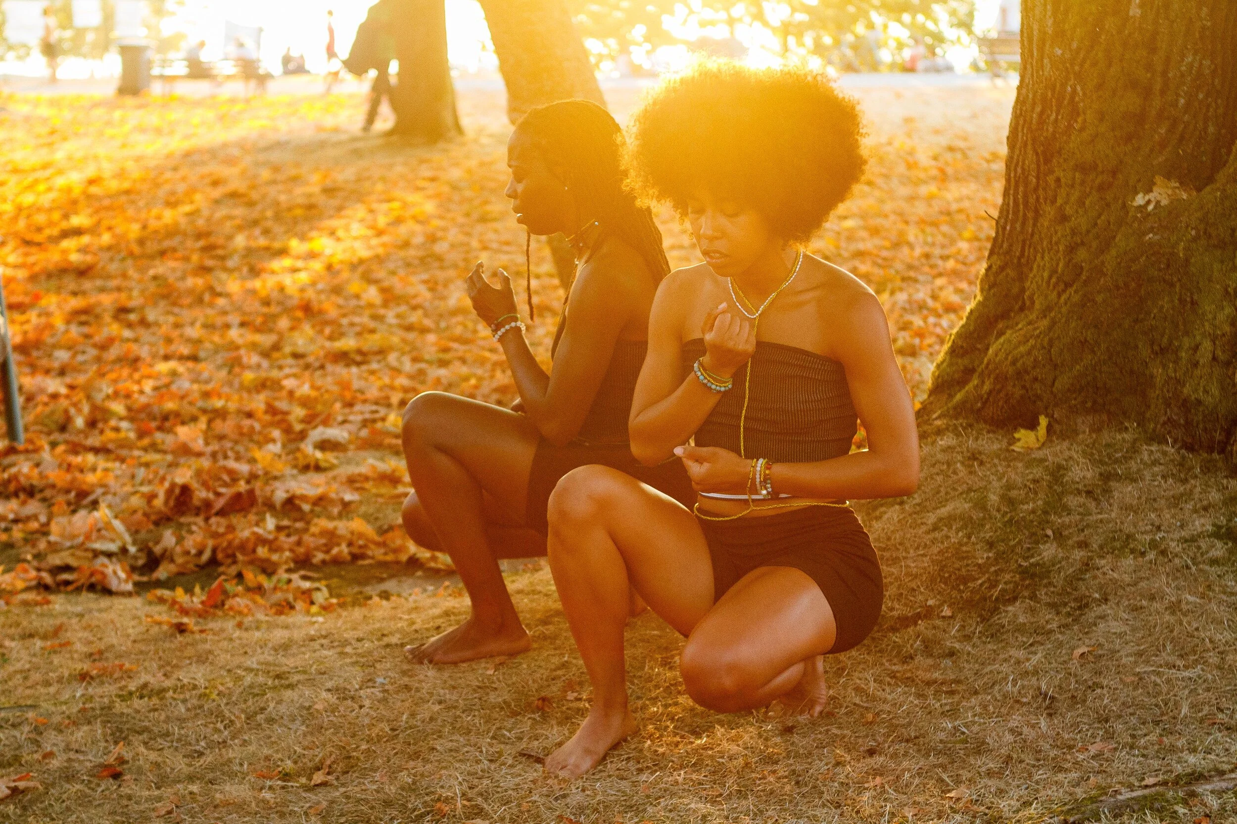 Vines Art Festival launches Cultivating the Creative: A Symbiotic Artist Care Fund