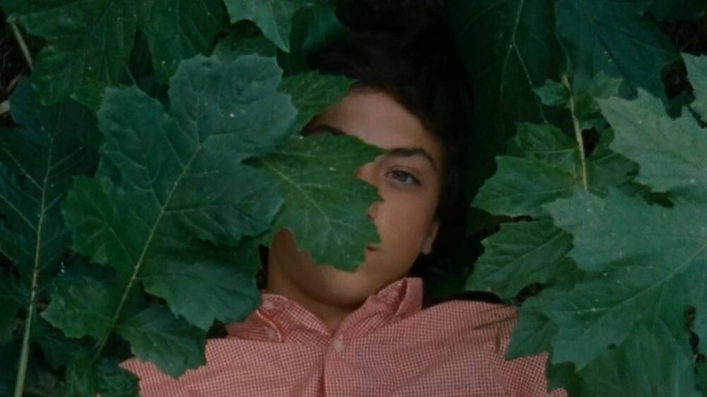 Film review: The Metamorphosis of Birds blends lush imagery and poetry in story of longing and loss