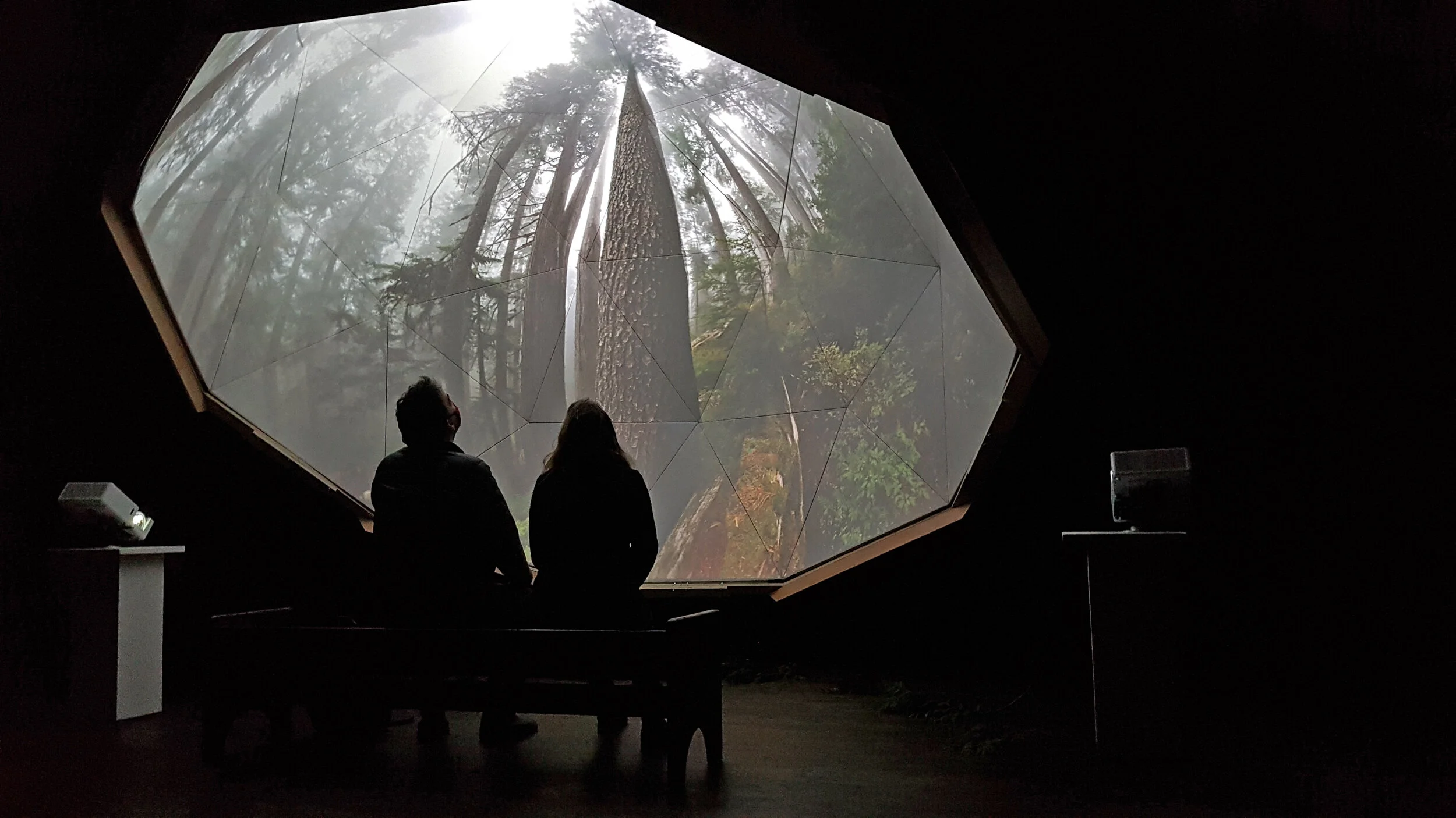 Inside a geodesic dome built within CityScape Community ArtSpace, Sanctuary offers a 360° immersive experience deep into an ancient forest that is now under threat. Photo by Damien Gillis.