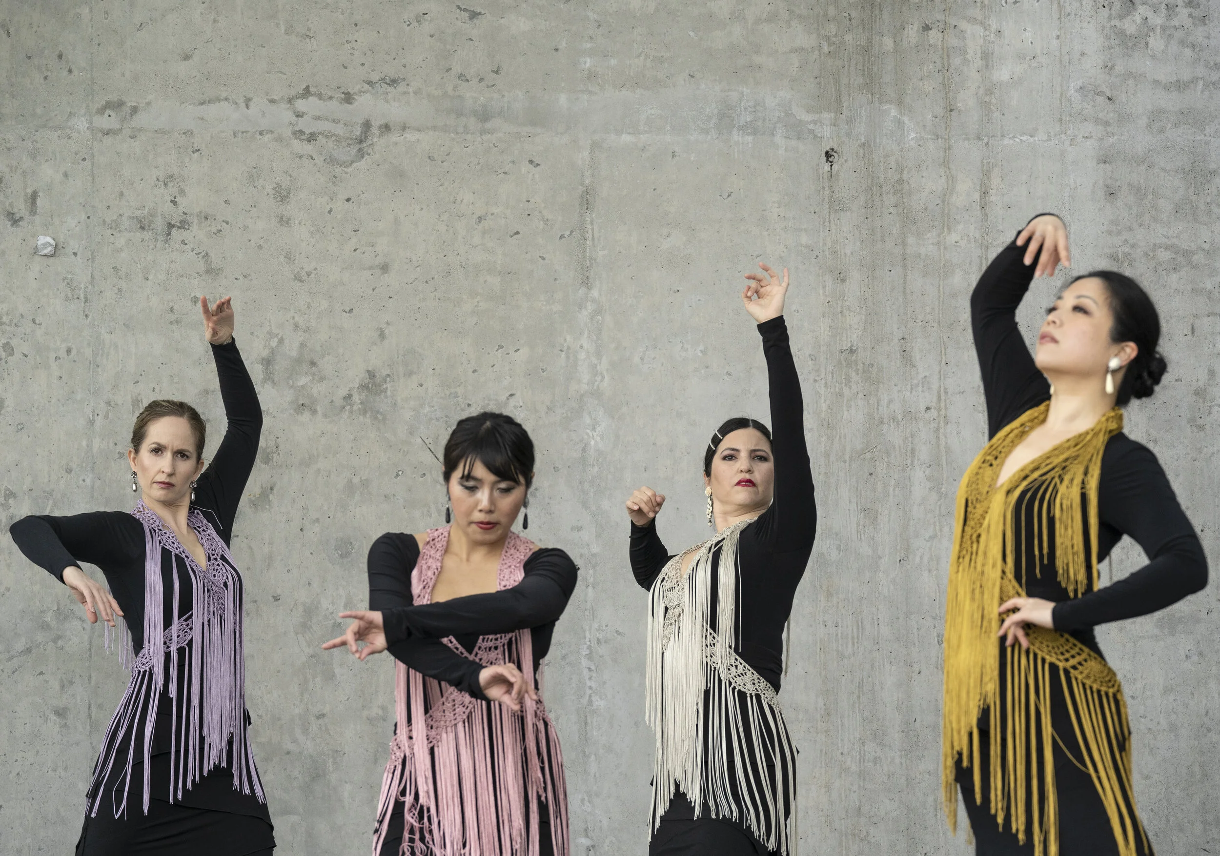 Vancouver International Flamenco Festival&nbsp;presents local and national artists on stage and online