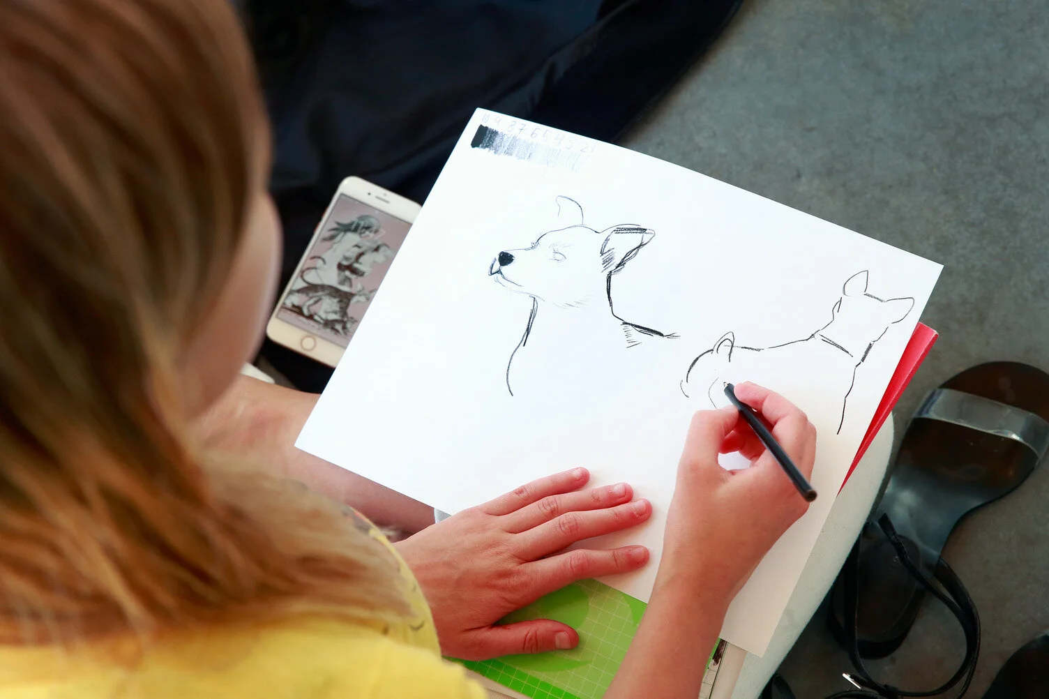 From photography to illustration, Emily Carr University of Art + Design's latest offerings help you expand your creative potential