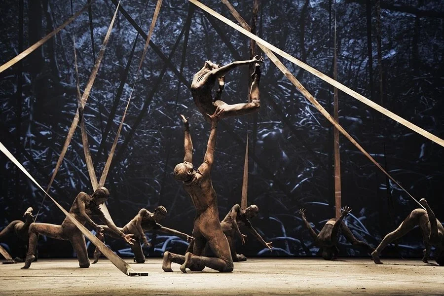 Dance review: Dog Without Feathers' brutally poetic imagery speaks to a world near collapse