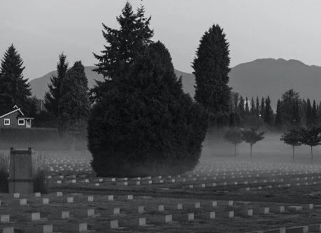 Local choir singers and brass players join forces for Remembering Together, Apart, November 11 at Mountain View Cemetery
