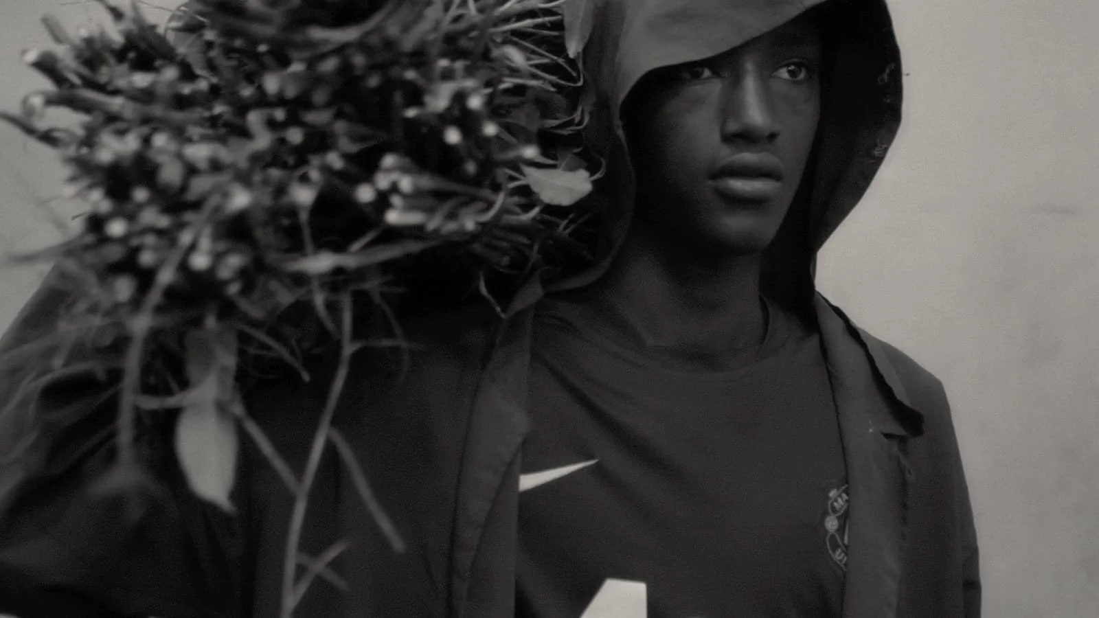 Faya Dayi takes a hallucinatory look at Ethiopia’s khat crops, to November 24 at The Cinematheque