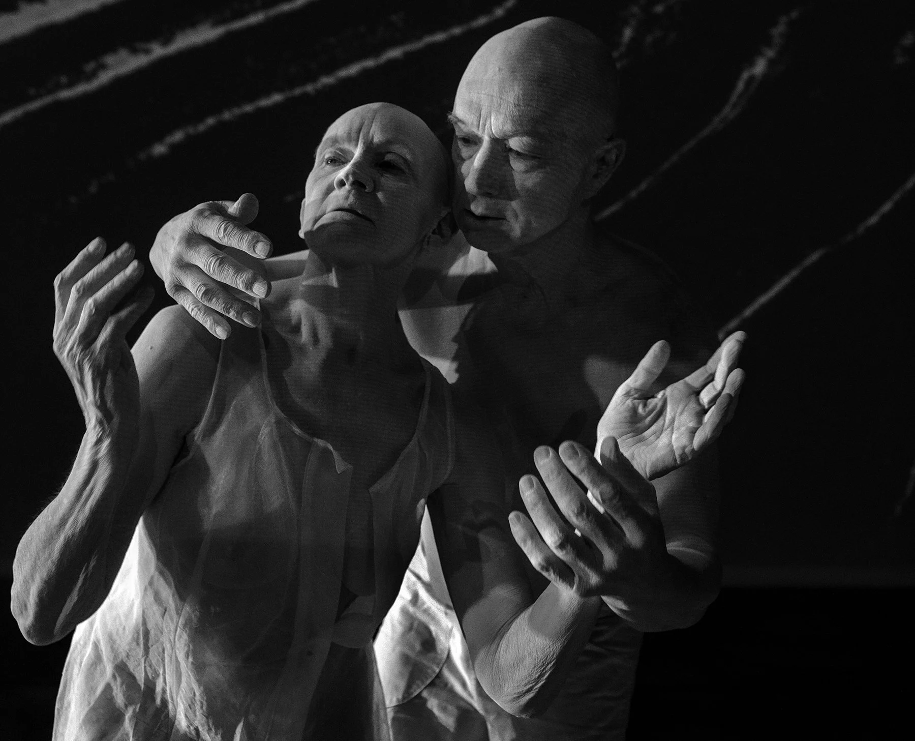 Kokoro Dance's Wabi-Sabi explores transience with a live, eight-piece band, March 4 and 5 at the Vancouver International Dance Festival
