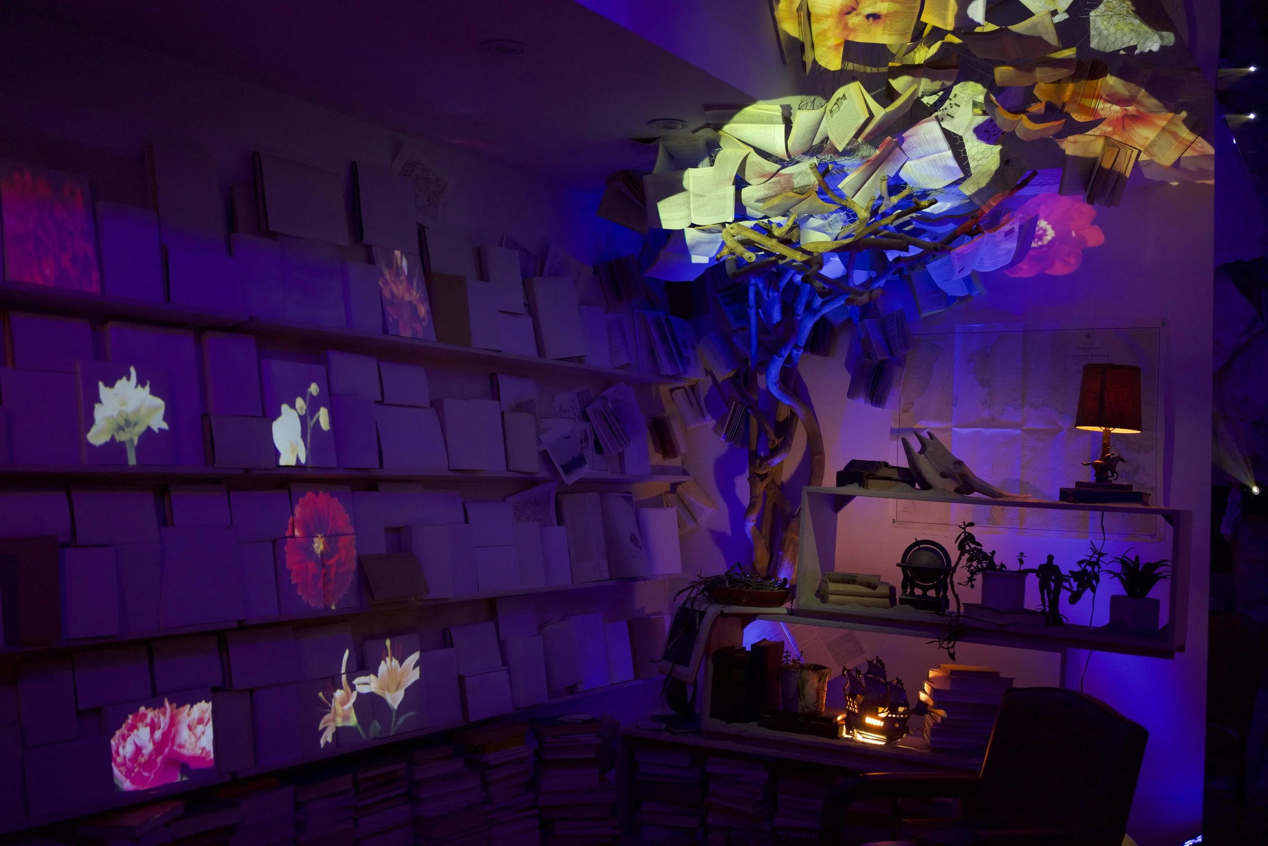 The Magic Hour 360 &amp; Pochsy at the Airport Hotel make their VR debuts at Boca del Lupo