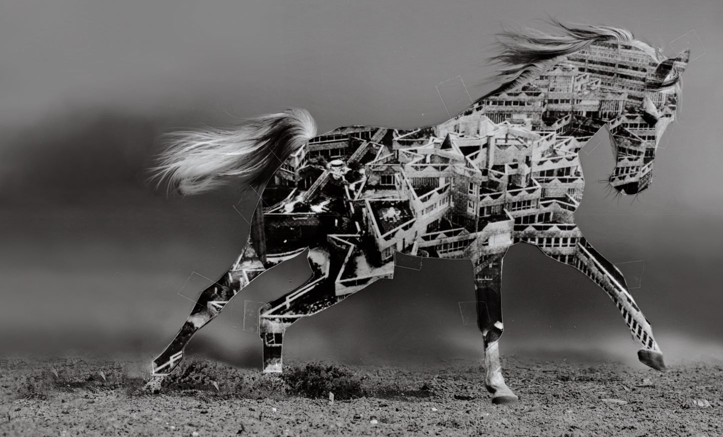 Moving horses and modernism canter across Vancouver billboard