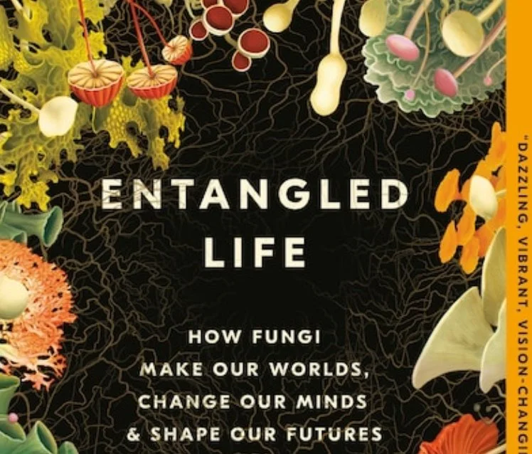 Reading List: Titles to accompany Indian Summer Festival and to spark conservations