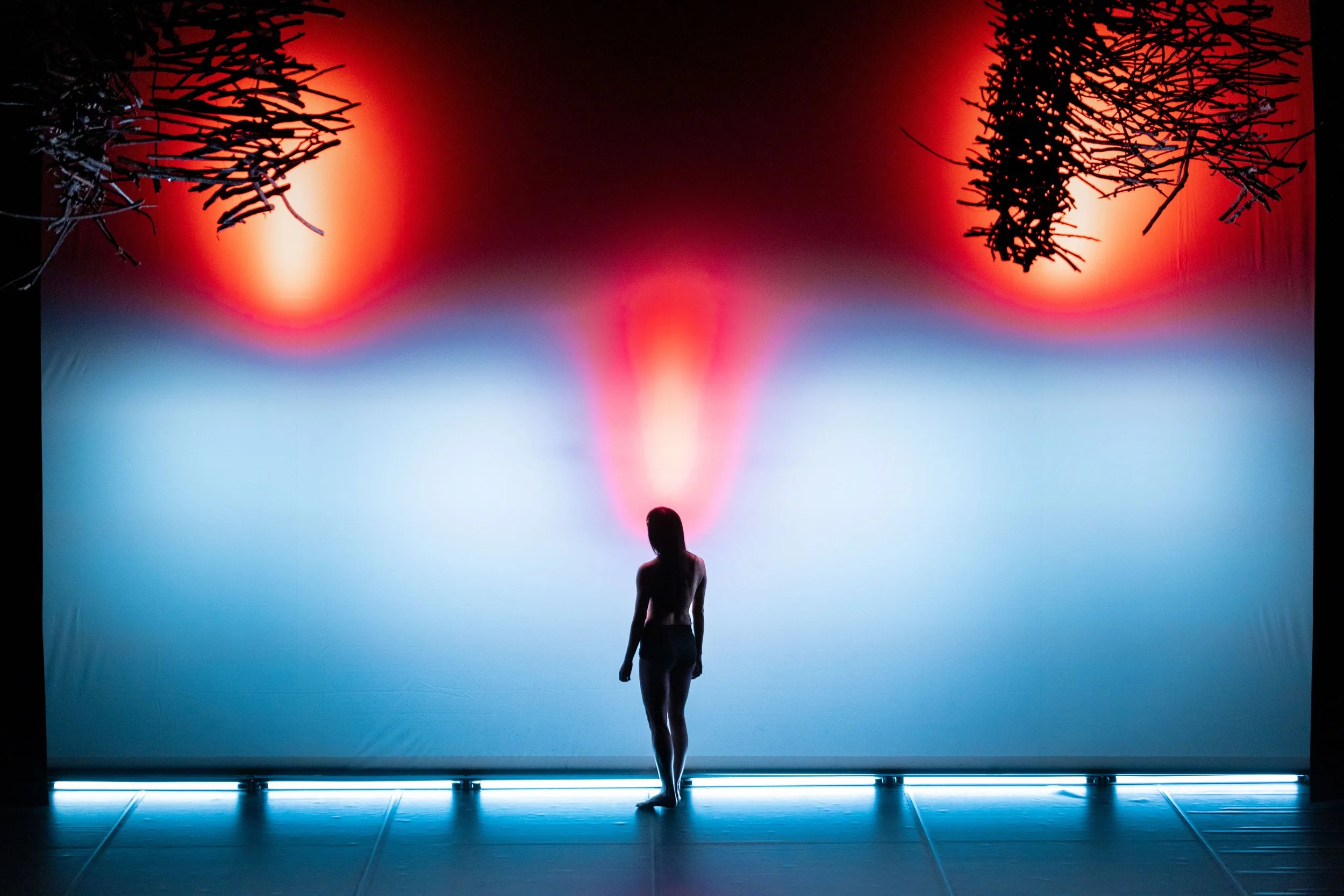 The Dance Centre announces 2022-23 season, with French electroacoustic innovator Franck Vigroux's Forêt, French-Malian Smaïl Kanouté, and more 