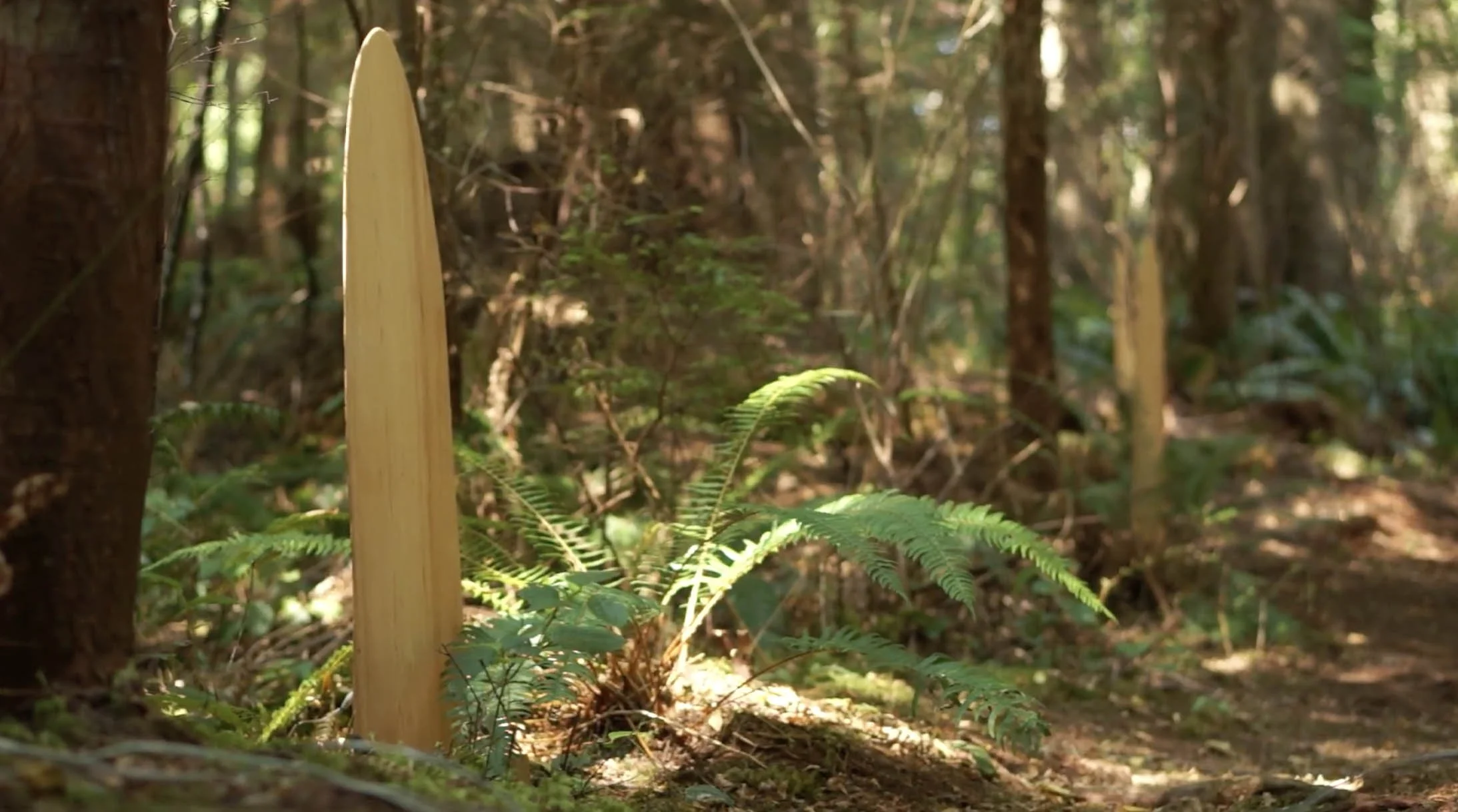 Reclaimed-spruce "speakers" feature in soundgarden – Hadden Park, September 24 and 25