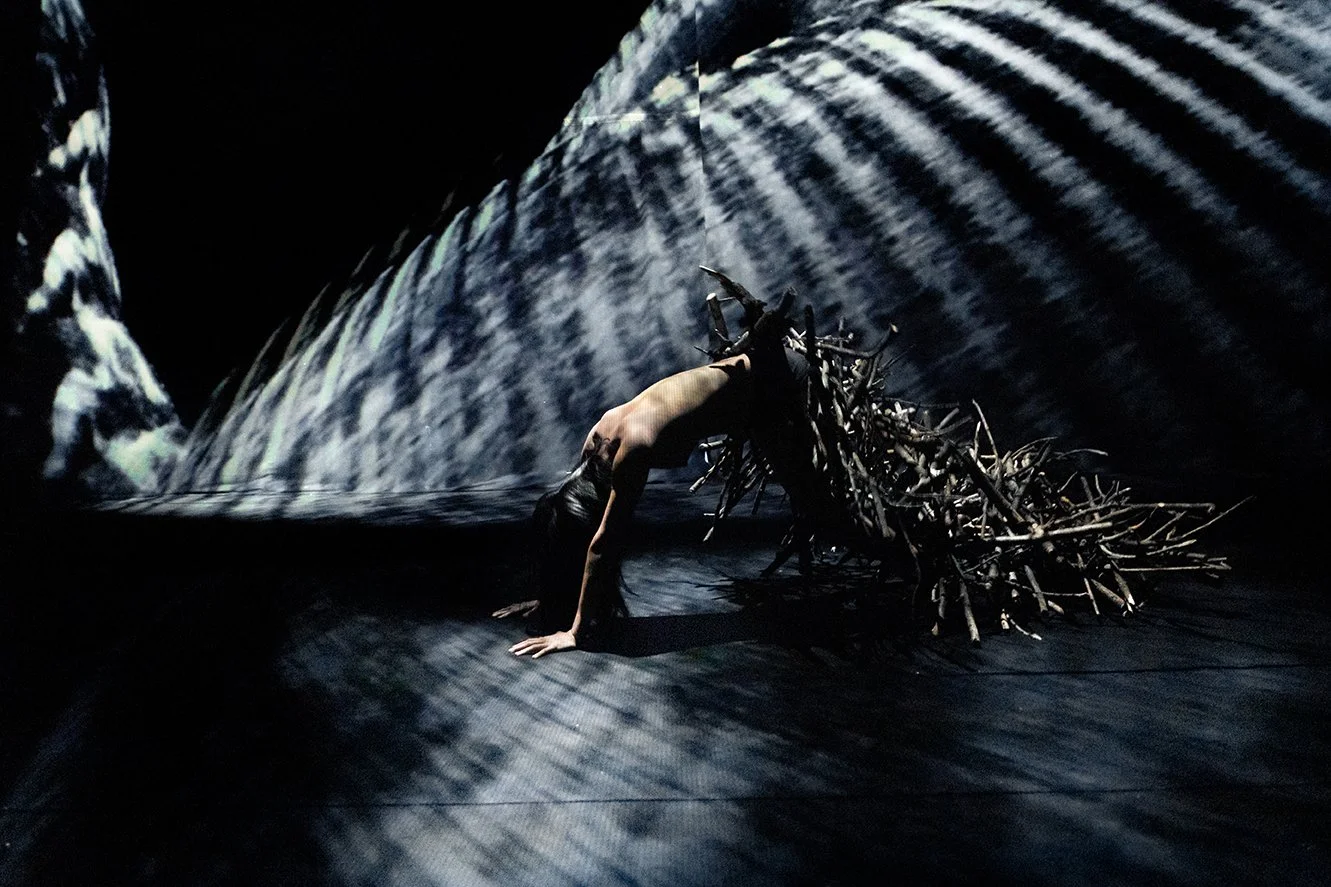 With Forêt, multitasking French musician Franck Vigroux conjures dreamlike world of dance, visuals, and sound