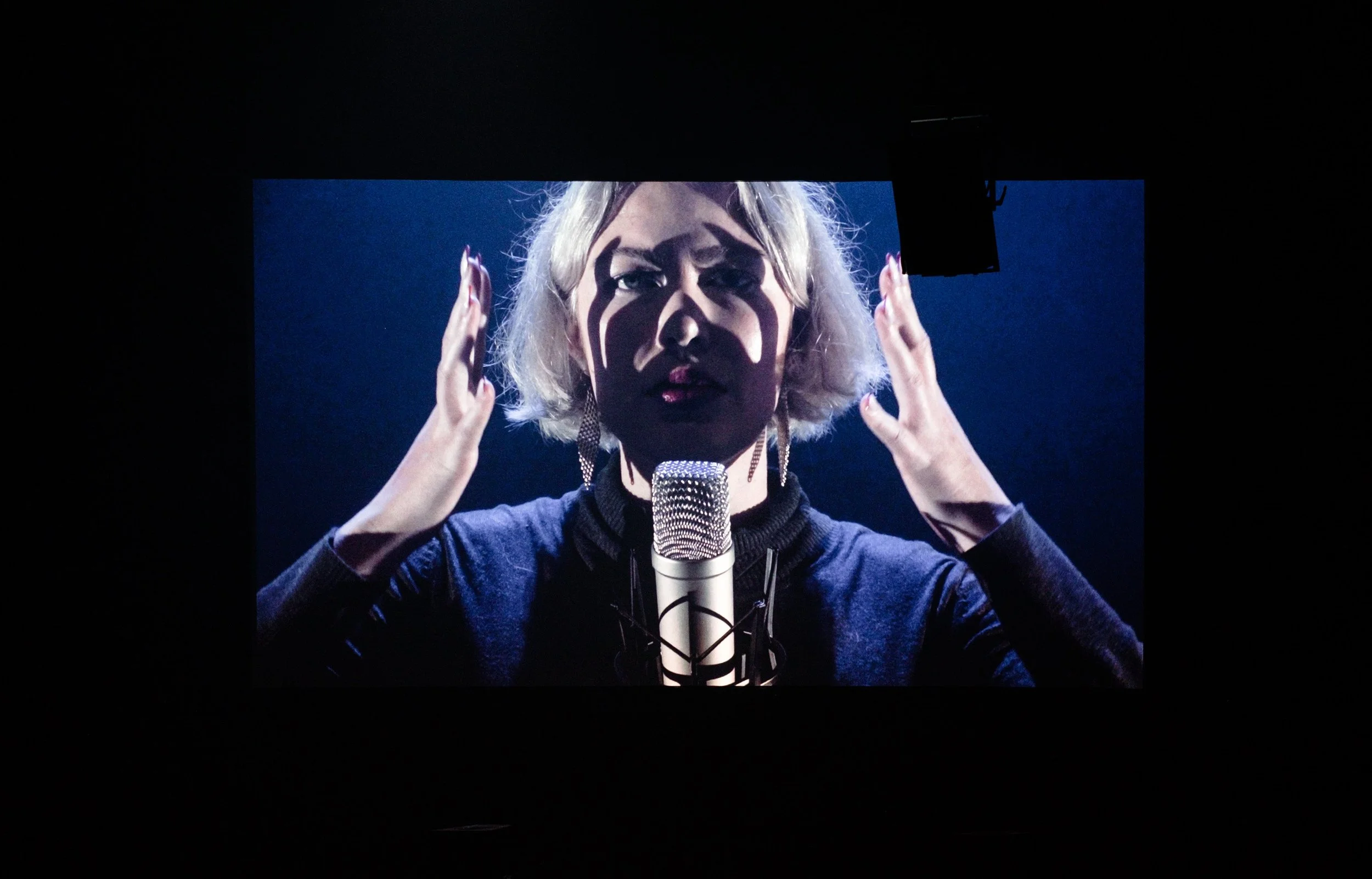 Affect Flow celebrates the music of Montreal-based artist and composer Erin Gee, November 19 at the Annex