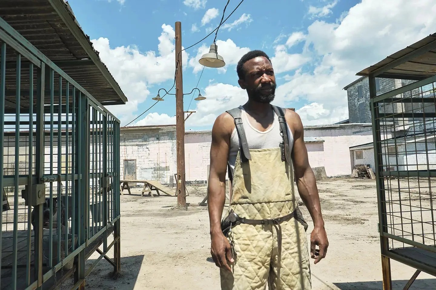 Film review: Chien Blanc poses hard questions about white allyship and whether racism can be "unlearned"