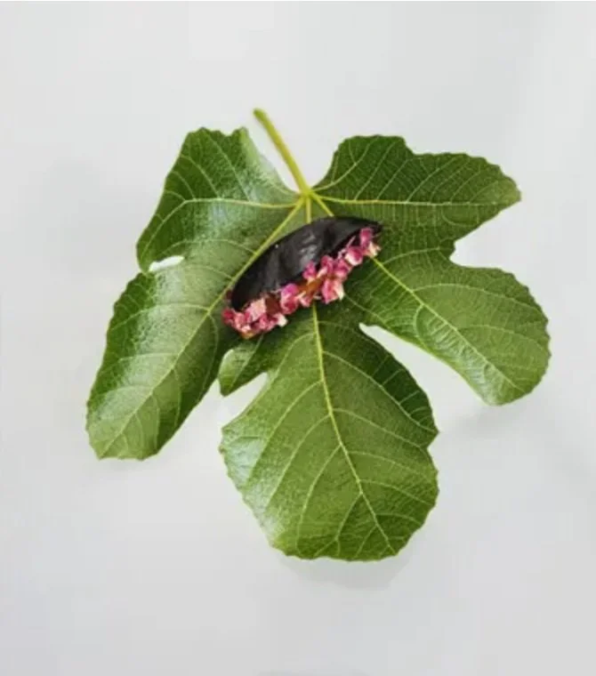 At acquafarina's new Chef's Lab, experimentation is on the menu