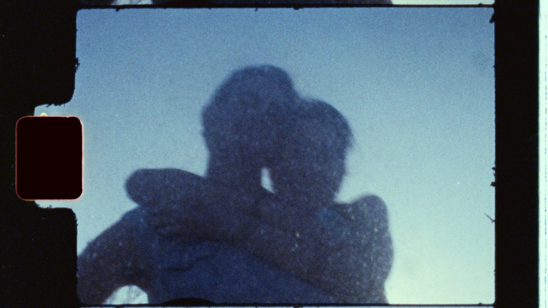 Vancouver documentary back home brings its poetic journey through grief back to VIFF Centre on April 14 and 15