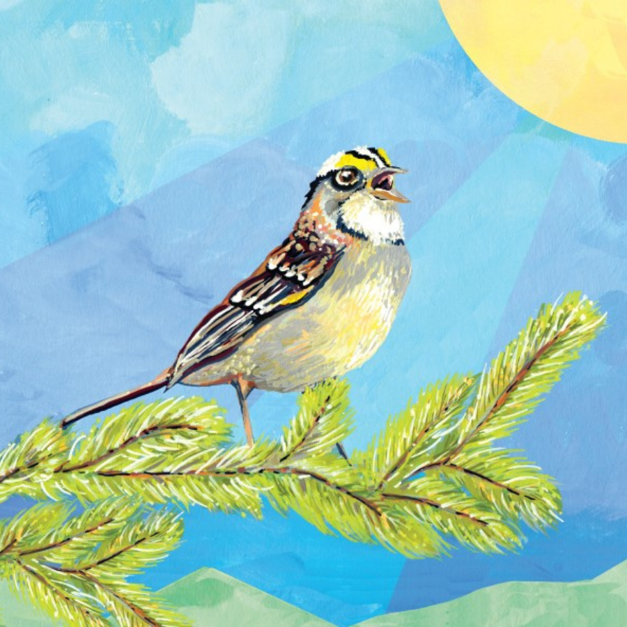 Vancouver Bach Family of Choirs annual SummerSing! show takes place on May 14