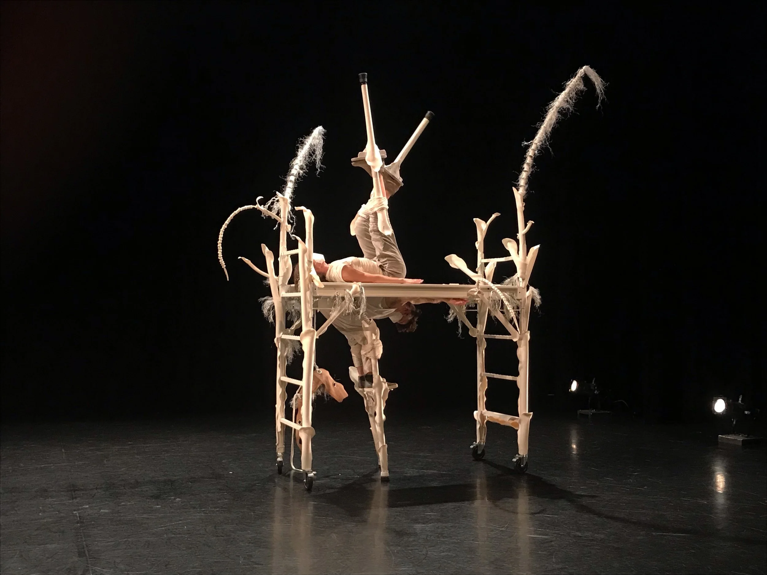 Isabelle Kirouac’s Meta/fauna takes the stage at Scotiabank Dance Centre, July 8