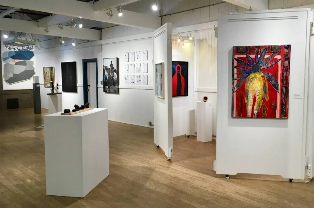 Salt Spring National Art Prize announces 52 finalists in competition for one of Canada's largest contemporary-art awards