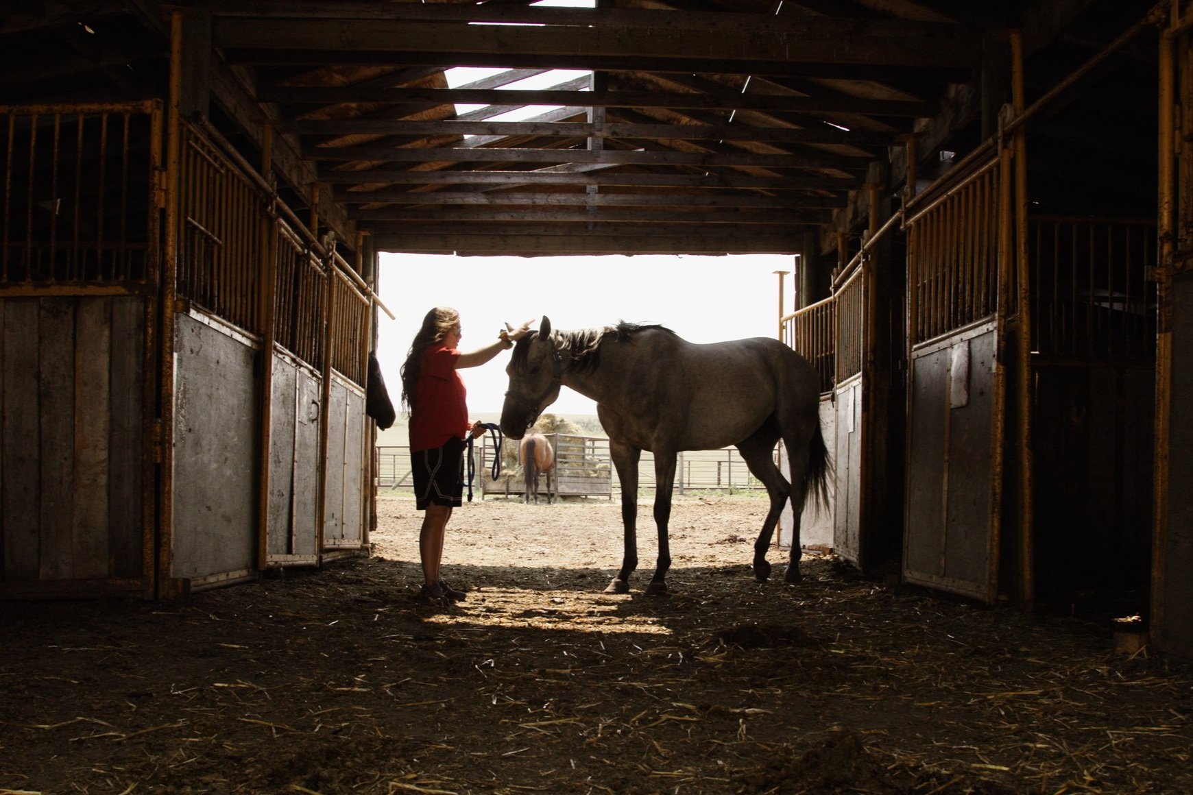 Award-winning horse relay documentary Aitamaako’tamisskapi Natosi: Before The Sun drops on streaming platforms December 22