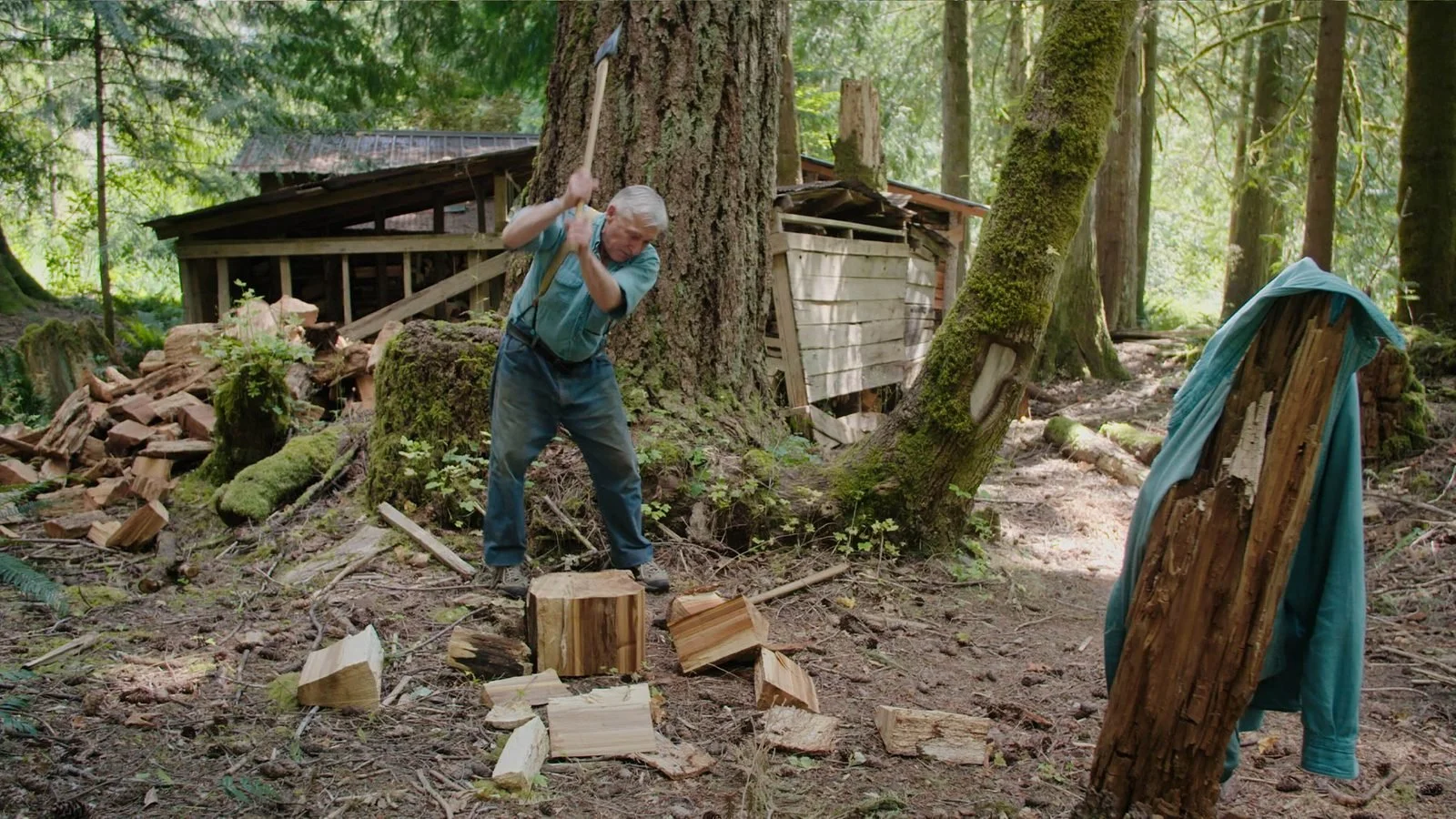 VIFF celebrates Earth Day with four specially curated screenings and discussions on April 22