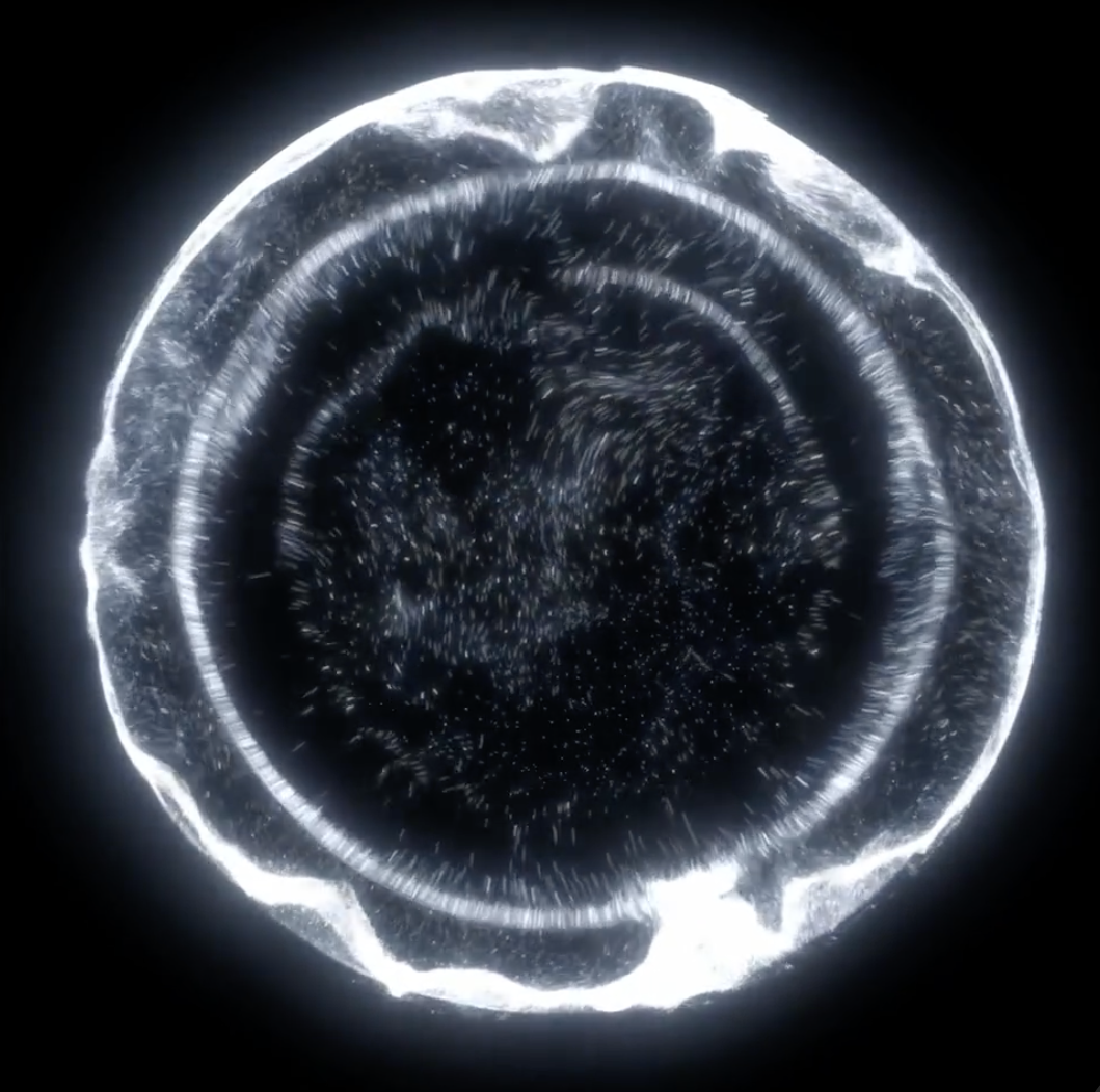 Pass through the Moon Gate to mark the full moon, and Asian Heritage Month, at the Polygon Gallery May 23