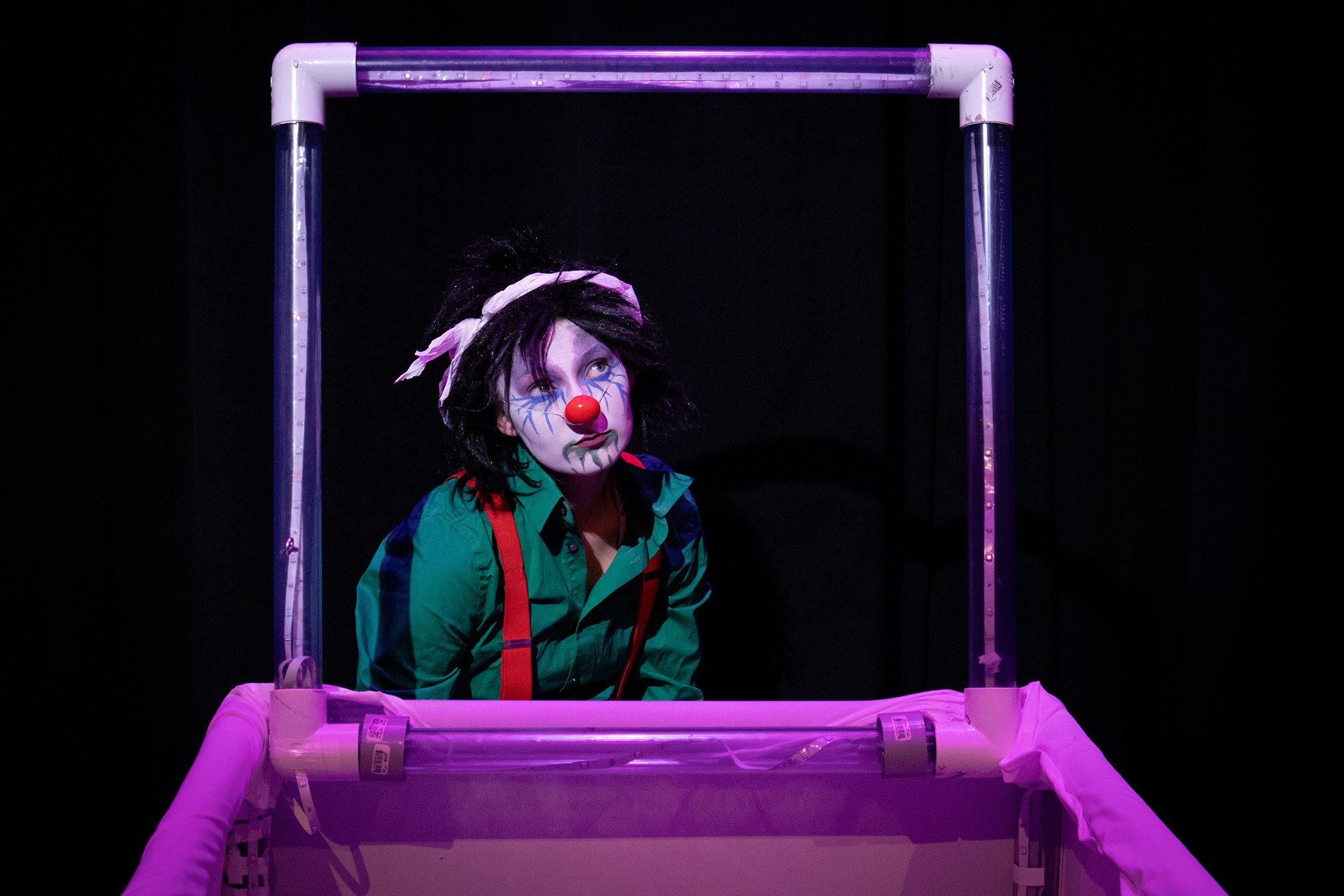 Theatre reviews: Dark, digital clown humour and an enchanting amphibian world as rEvolver Festival opens