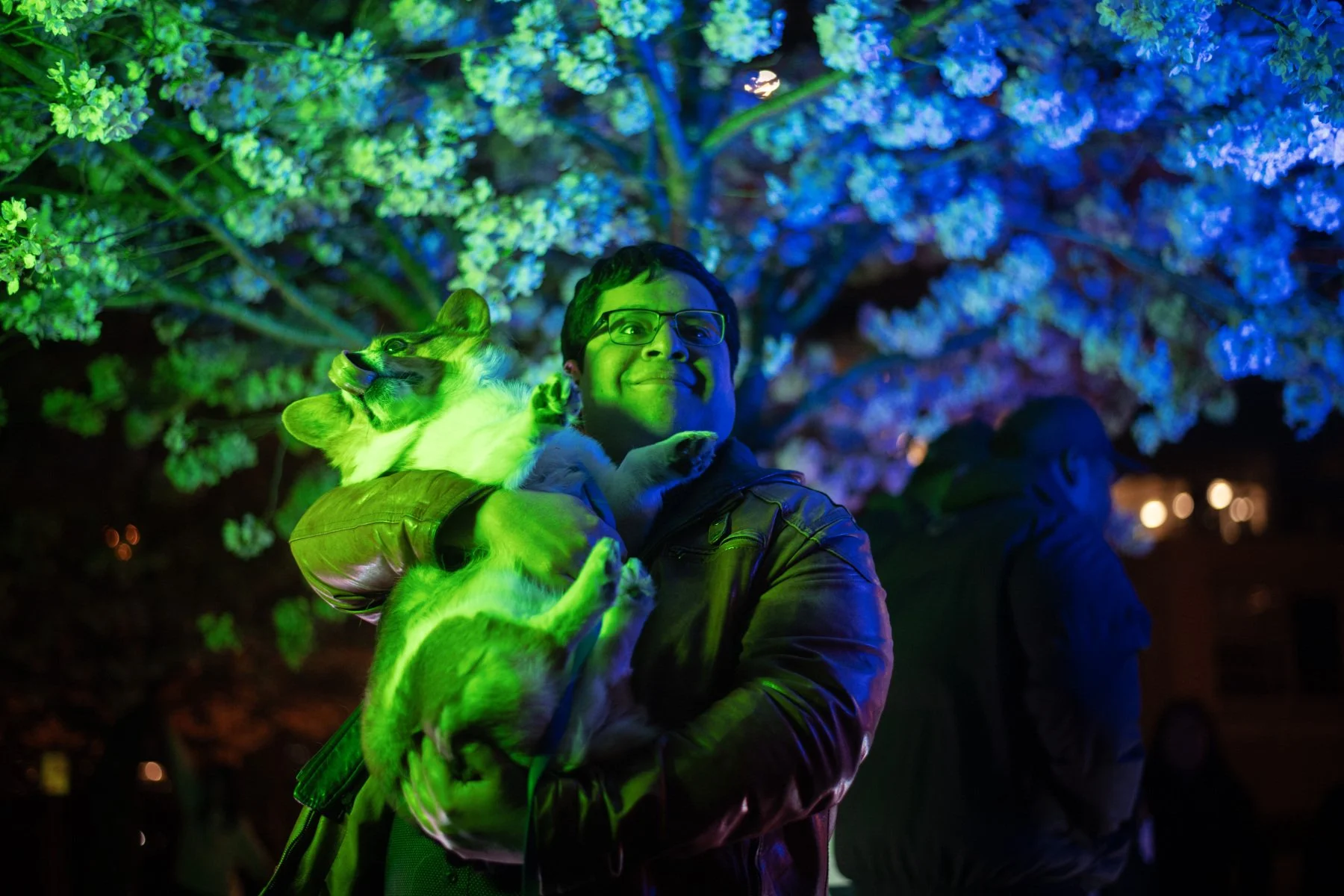 Persian pop and scintillating lights shine as Vancouver Cherry Blossom Festival celebrates return of spring