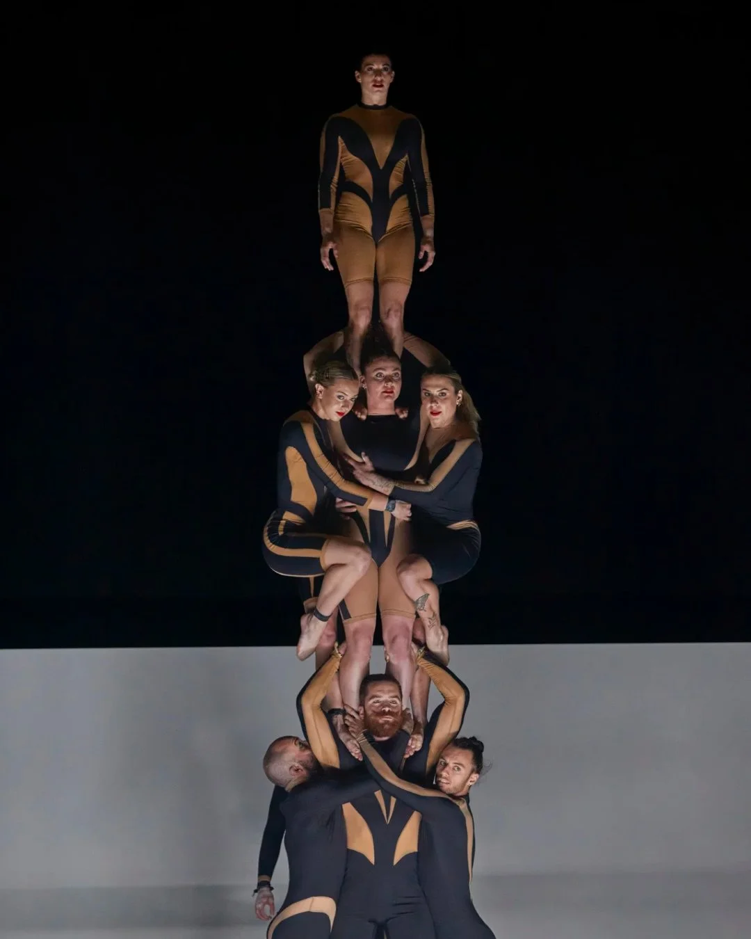 Circa's Wolf kicks acrobatics into artful hyperspeed.⁠
⁠
At the intimate York Theatre, honed Aussie performers mix feral energy with a new level of circus sophistication.⁠
⁠
Head to Stir for the full Wolf review. ⁠
⁠
#vancouvertheatre #artsandculture