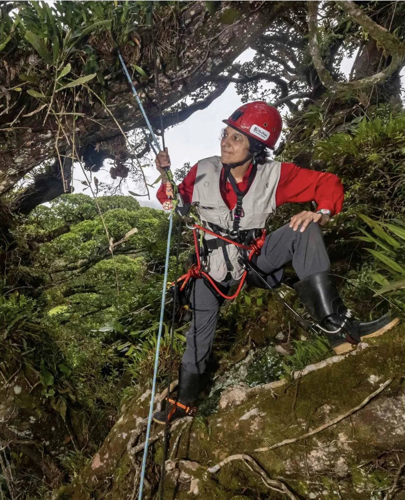 Tree canopy ecologist Nalini Nadkarni gives ground-bound humans a look at lush life forms above our heads.⁠
⁠
Her National Geographic Live event From Roots to Canopy lands in the Lower Mainland care of @vancivictheatres.⁠
⁠
Head to Stir for the full 