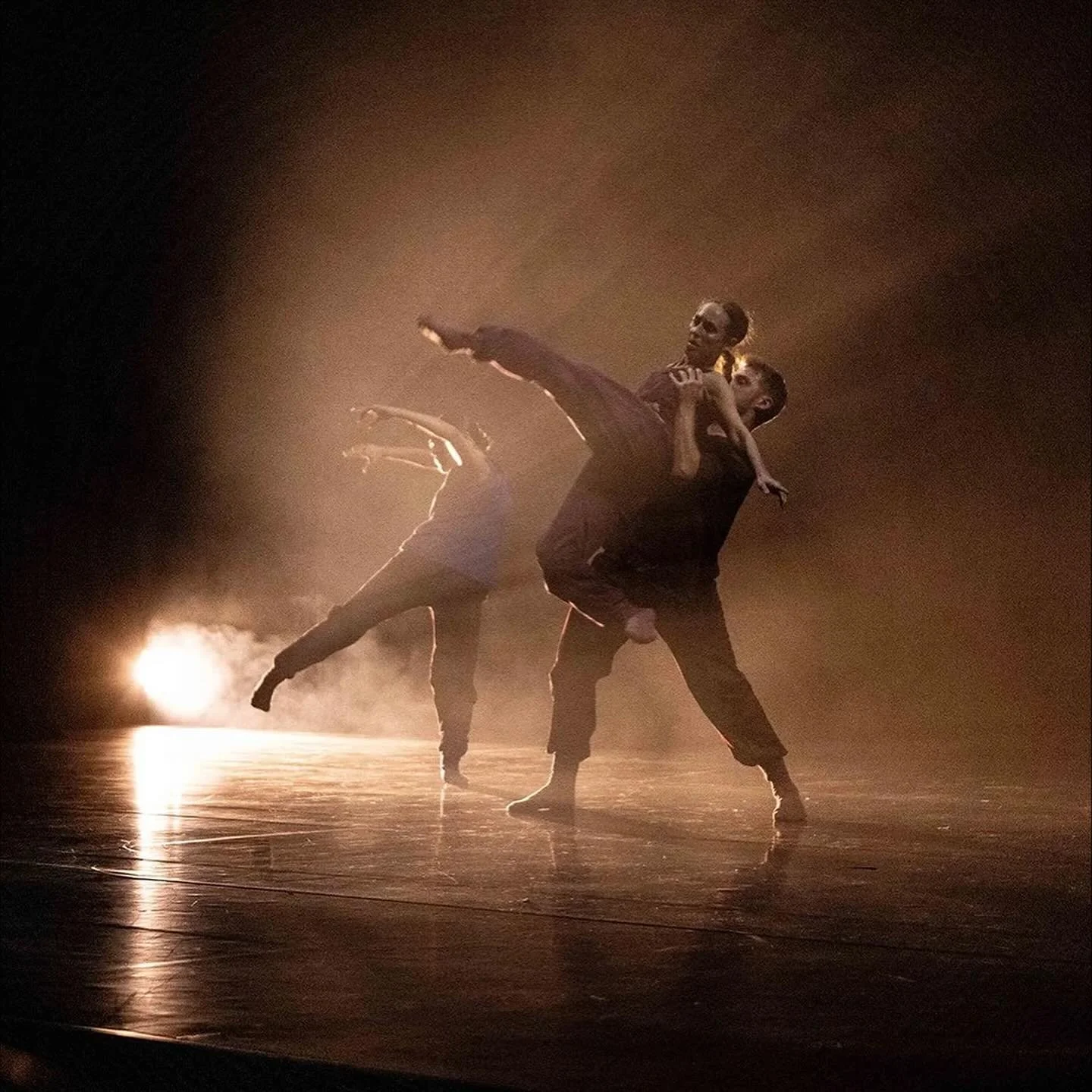 In Anne Plamondon&rsquo;s Myokine, seven dancers serve as messengers of hope. 

Montreal choreographer&rsquo;s post-pandemic piece, inspired by a type of molecule secreted by moving bodies, comes to @firehall.arts.

Read more at Stir. 

#yvrarts #van