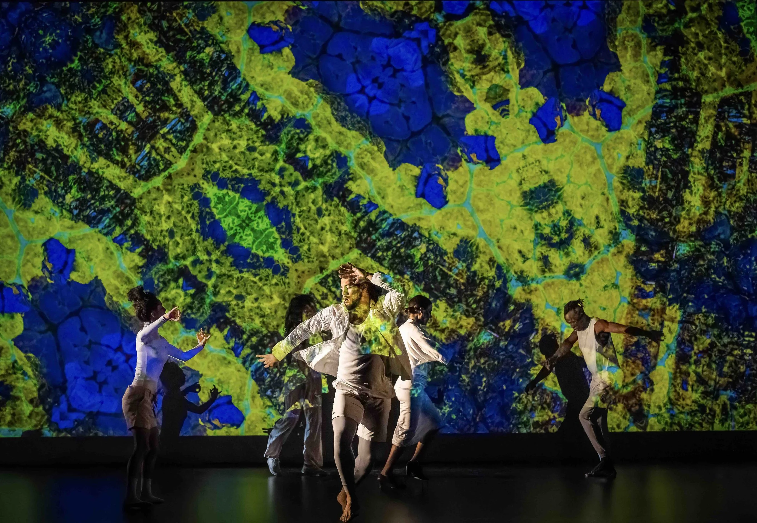 Alliance Française Vancouver hosts Audrey Gaussiran’s vibrant MOSAÏCO, November 20