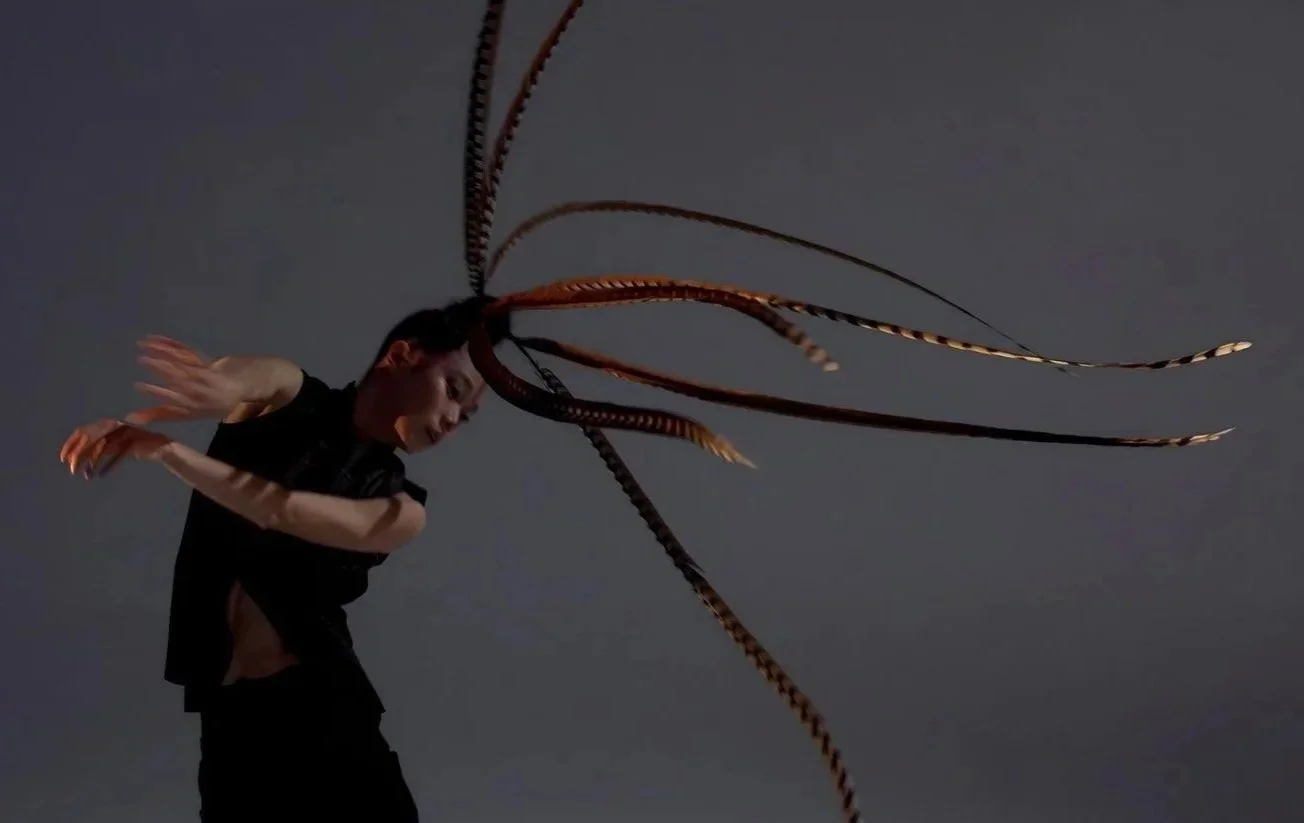 Stir Q&amp;A: Lai Hung-Chung’s Birdy explores freedom through feathers