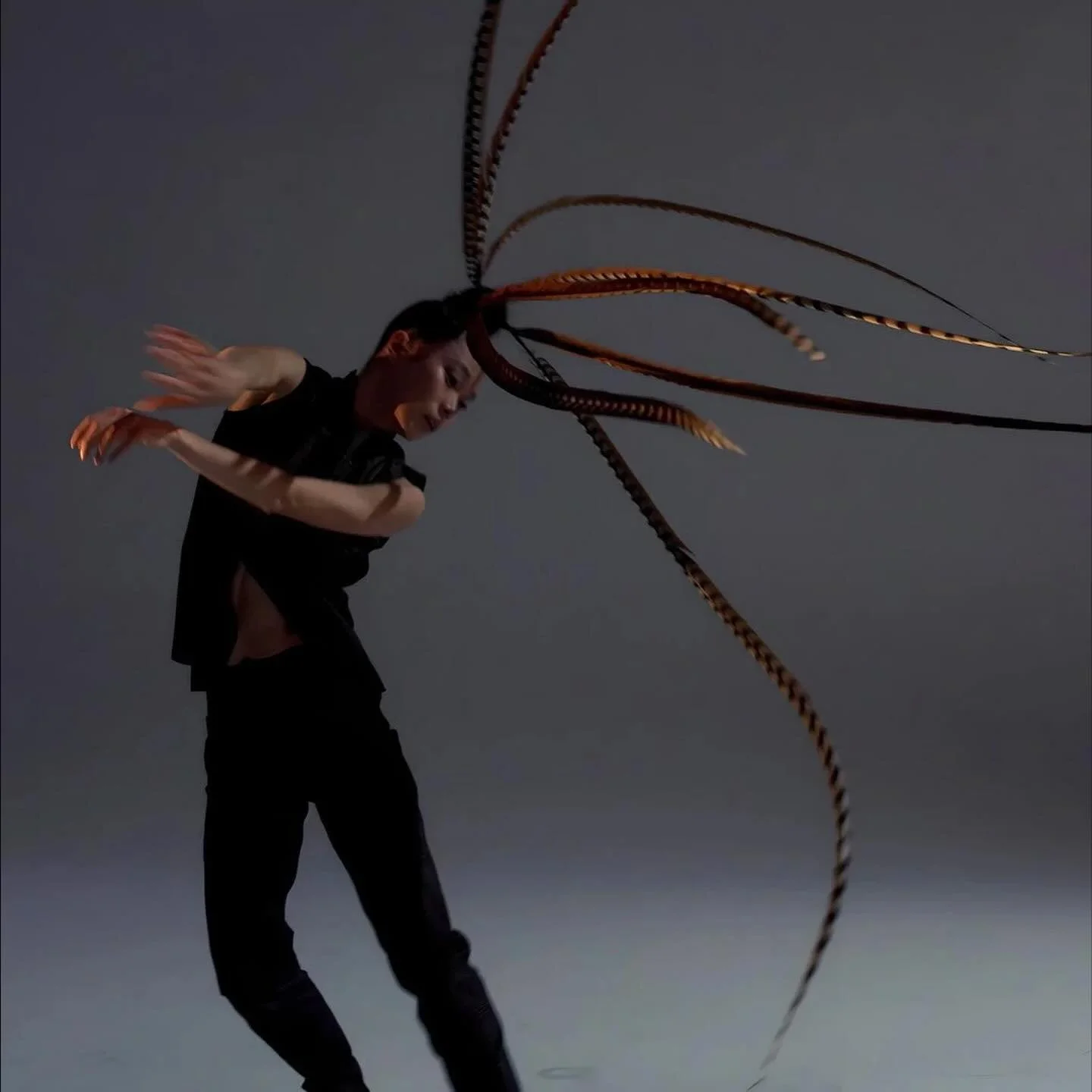 Lai Hung-Chung&rsquo;s Birdy explores freedom through feathers. 

Presented by DanceHouse, Taiwan&rsquo;s Hung Dance draws on the headpieces of Chinese opera to conjure calligraphy, weapons, and birds in flight. 

Head to Stir for the full Q &amp; A.