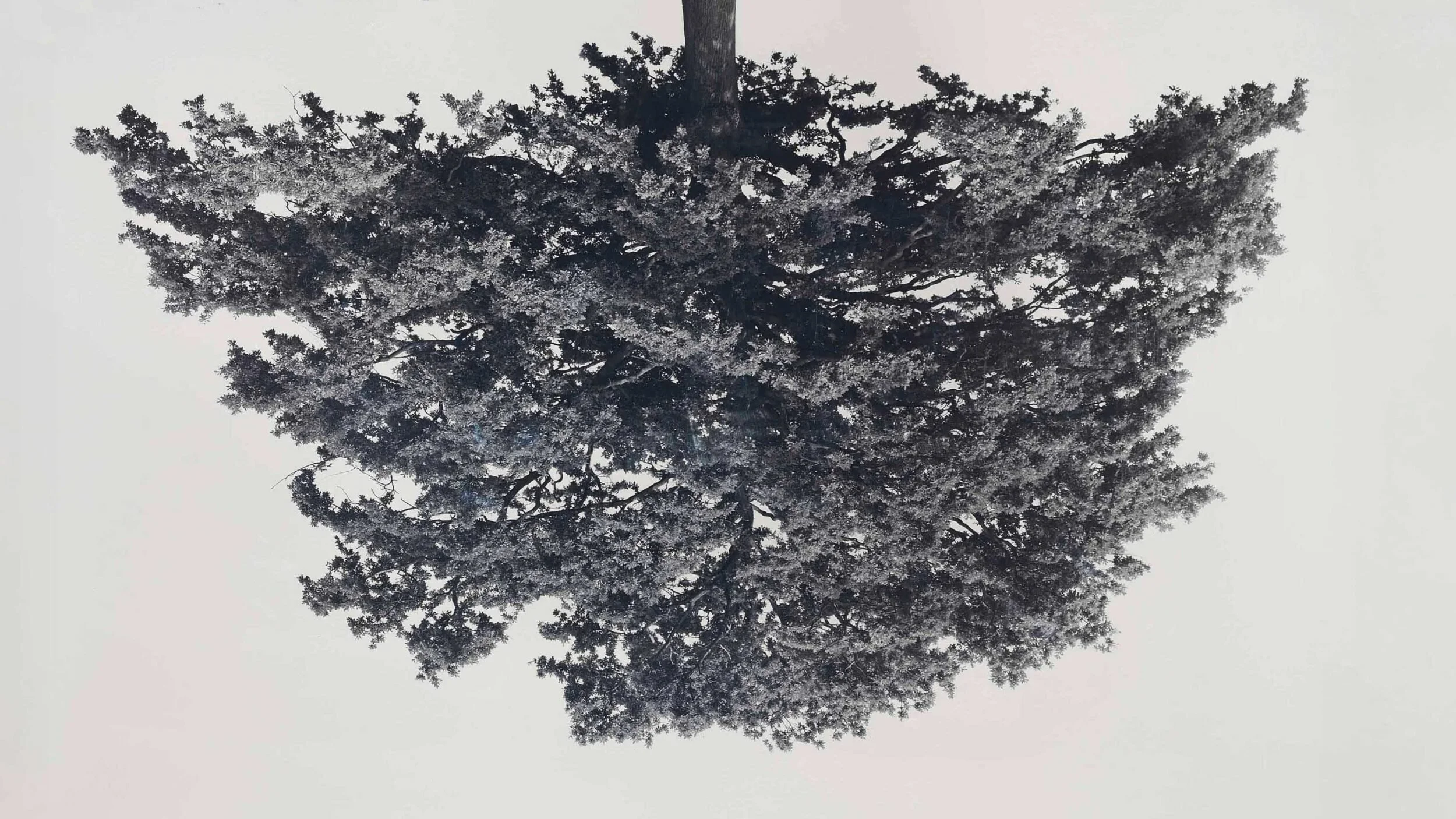 B.C. artists honour a friend's legacy with Rodney Graham Remembered at The Polygon Gallery, December 4