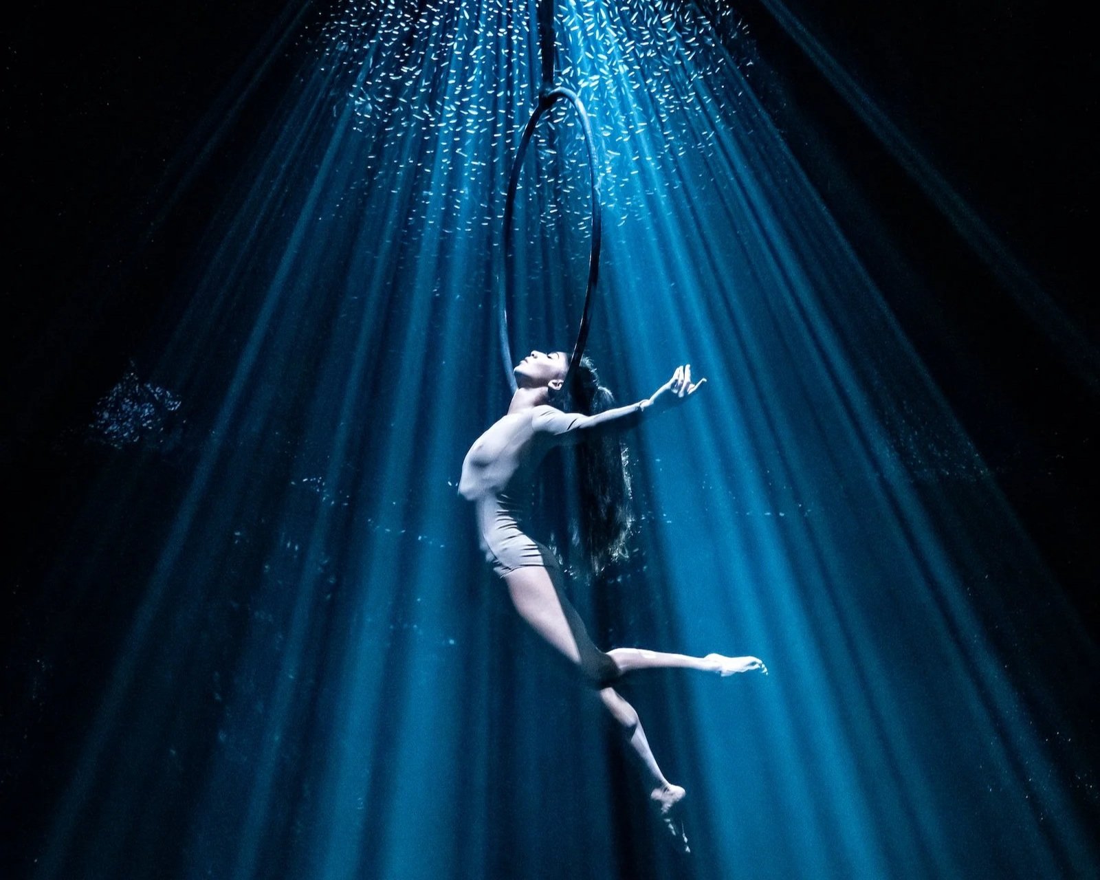 Review: Liquid limbs and mesmerizing visual magic at Recirquel's Paradisum