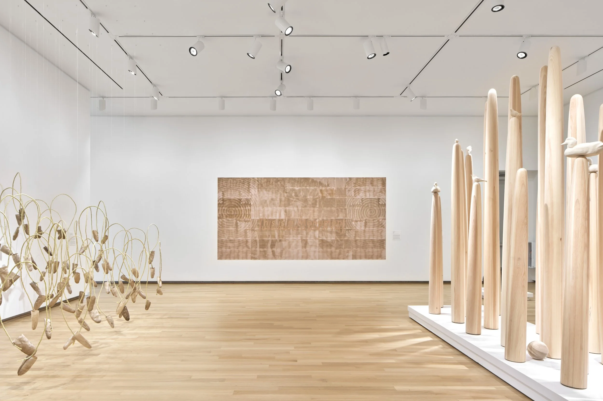 At The Polygon Gallery, Photolithics presents a decade of Tania Willard on an epic scale