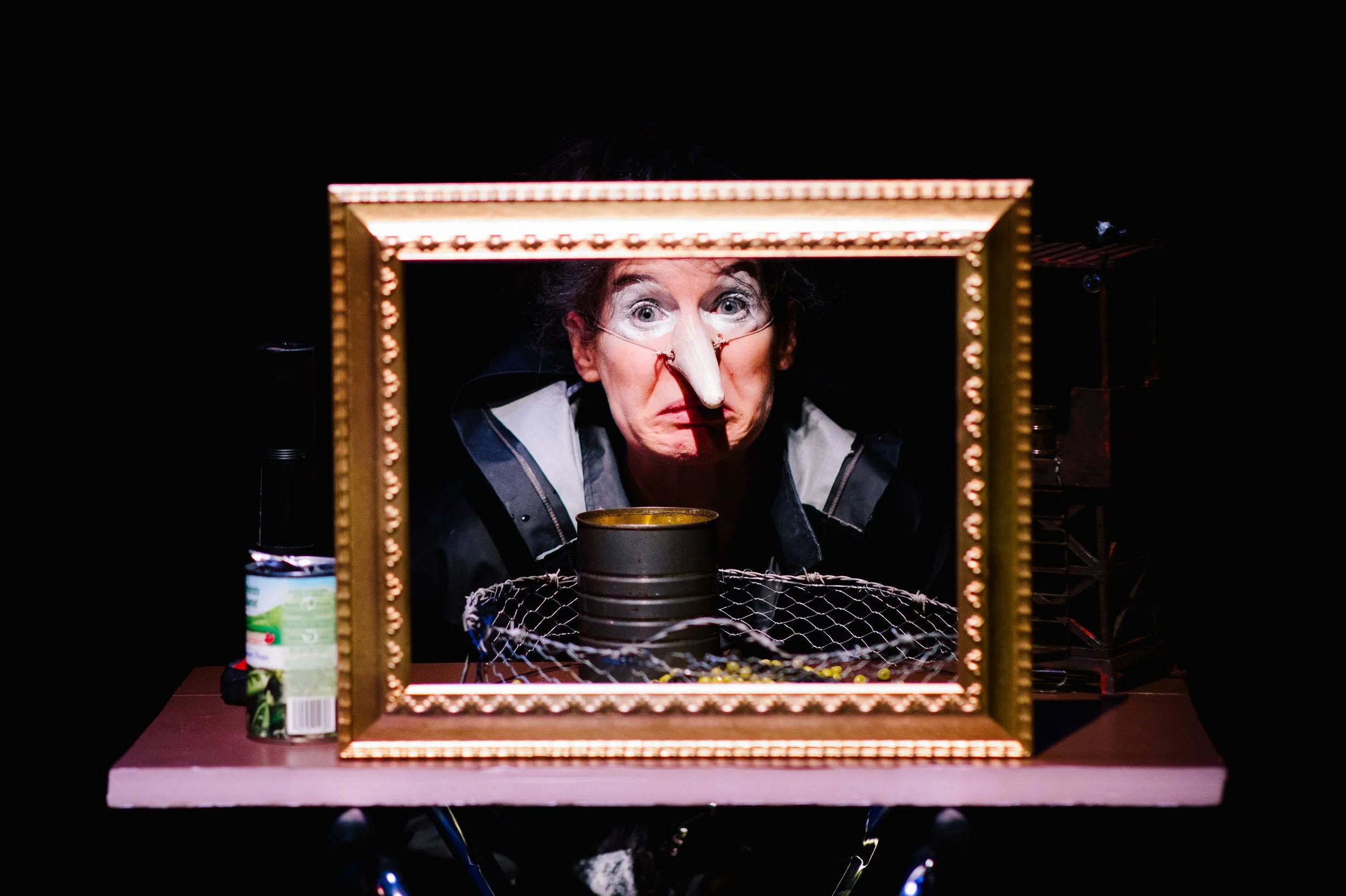 Alliance Française Vancouver presents the family production Petit Pois, April 25