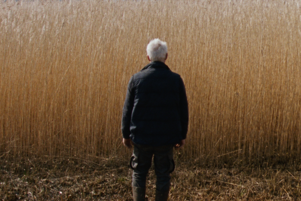 Haunting Reedland draws on age-old Netherlands trade, at Dutch Film Festival April 25