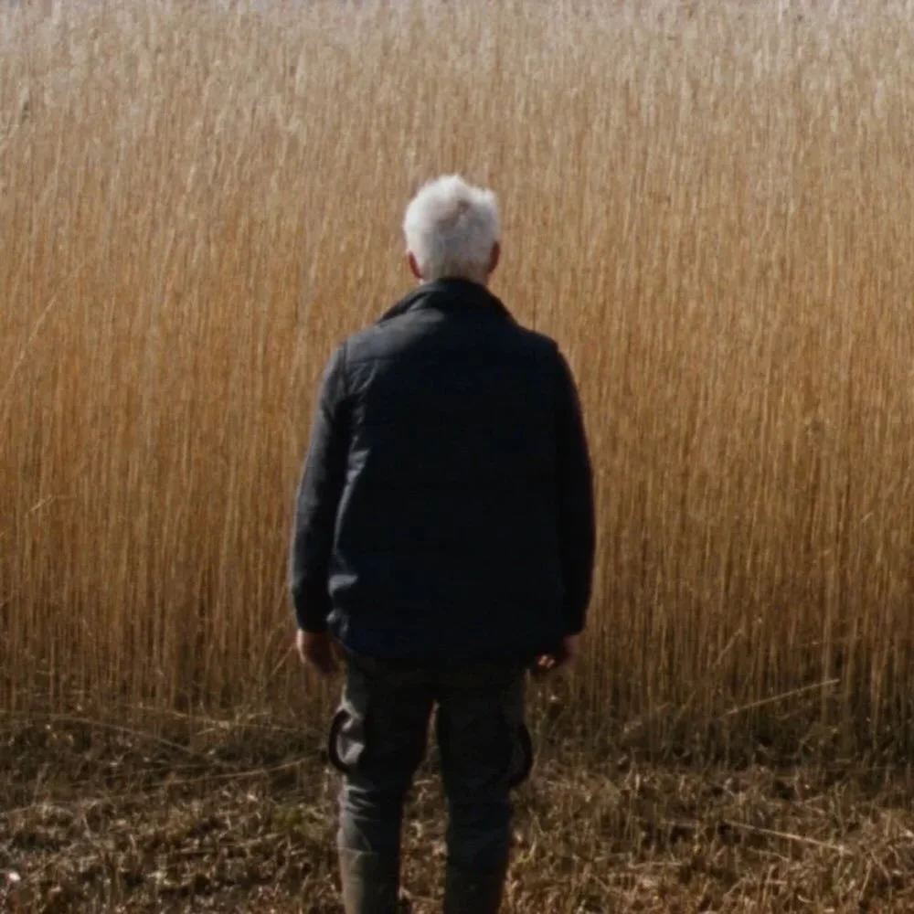Of all the films playing at the second installment of the Dutch Film Festival this week, none has more buzz than director Sven Bresser&rsquo;s atmospherically chilling Reedland&mdash;the Dutch submission to the Academy Awards for Best Foreign Languag