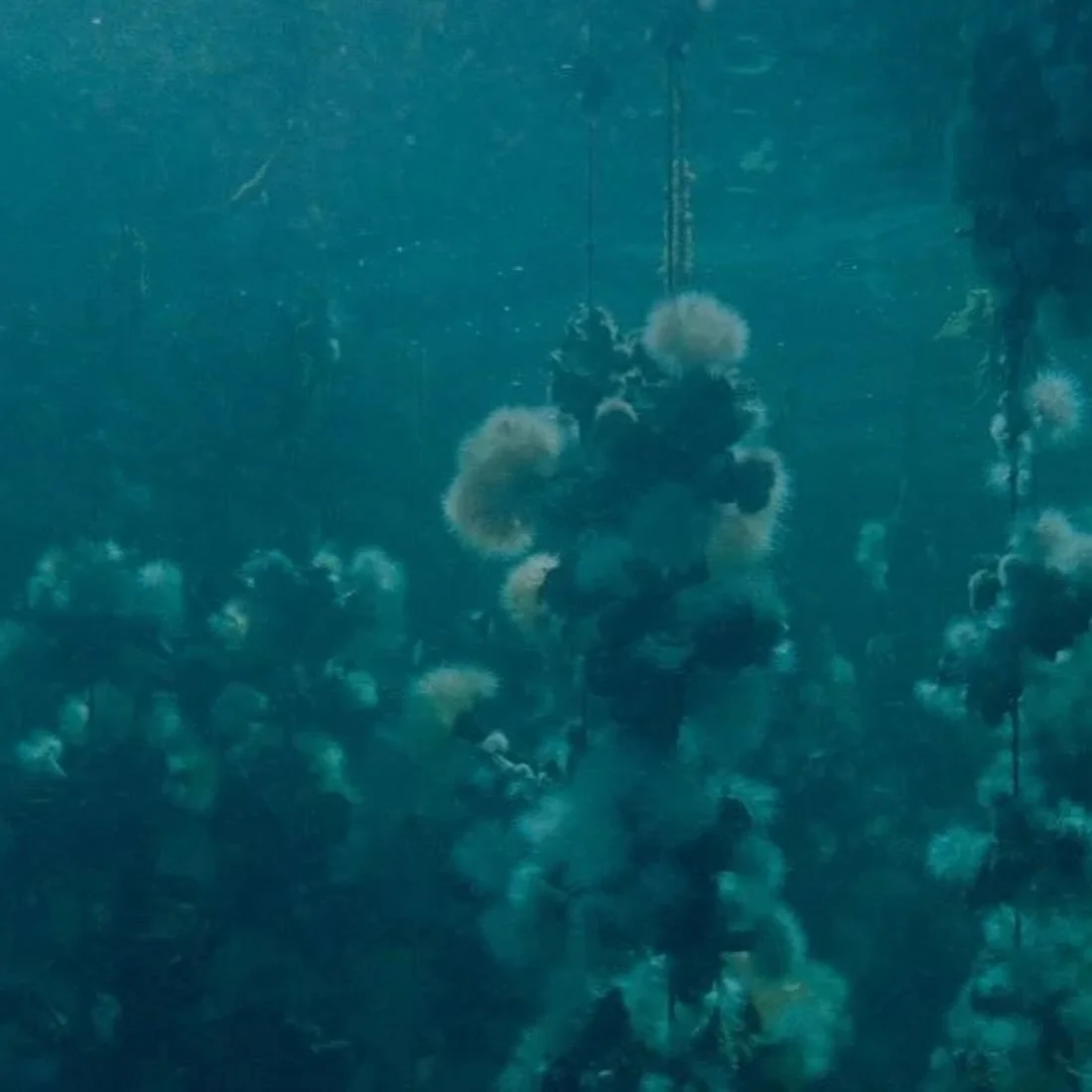 &ldquo;We&rsquo;re interested in how people make a living for themselves in relation to a landscape,&rdquo; says Ryan Ermacora, co-director of DOXA Documentary Film Festival feature Concrete Turned to Sand.

Head to Stir for more on @doxafestival. 

