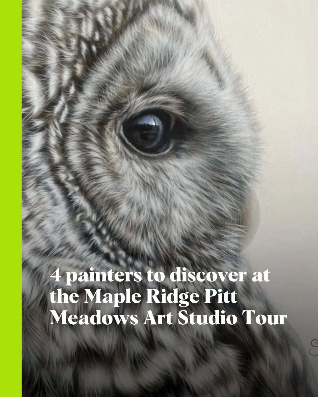 From stunningly detailed owls to pop-art-hued crows, a small sampling of the strong brushwork at the @artstudiotourmrpm event running May 9 and 10. 

Read more at Stir. 

#mapleridge #artsandculture #vancouverarts #multimediaartist #artstudio
