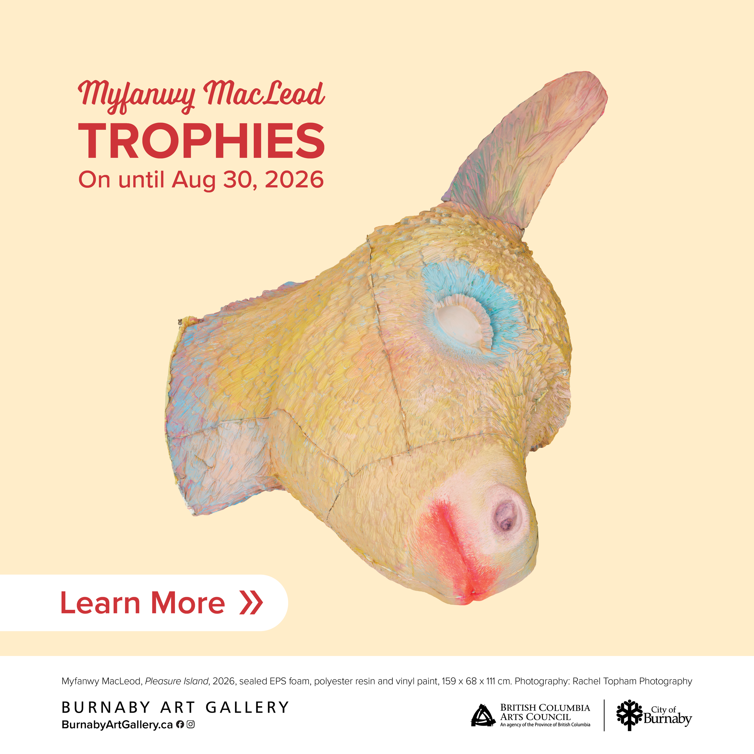 Burnaby Art Gallery: Myfanwy McLeod - Trophies - June 12 to August 30