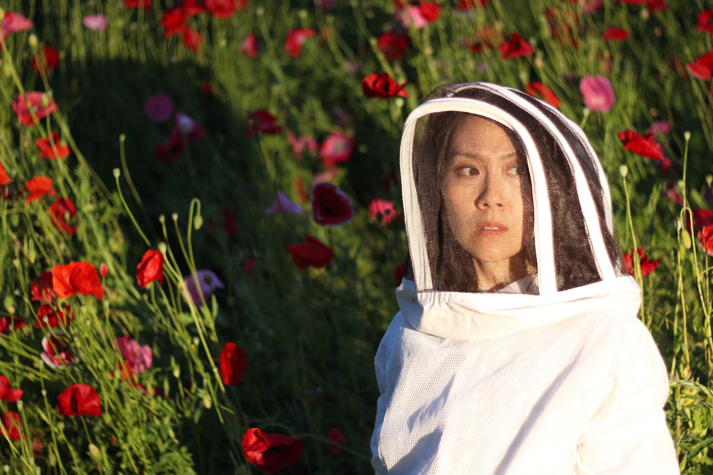 Dark, funny, and a little weird, The Apiary brings offbeat buzz to summer theatre scene