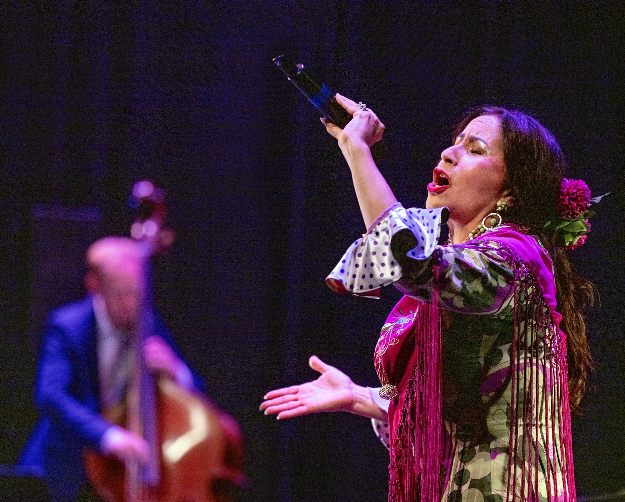 Stir Cheat Sheet: 5 shows to set emotions on fire at the Vancouver Flamenco Festival