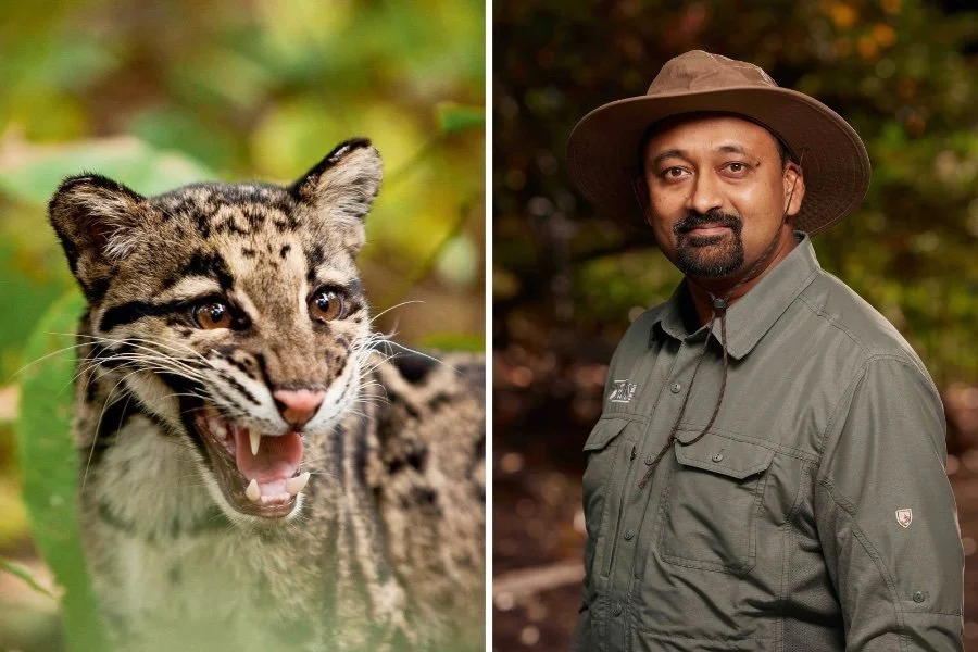 The Chan Centre hosts National Geographic Live: Wild Cats Revealed With Sandesh Kadur, November 18