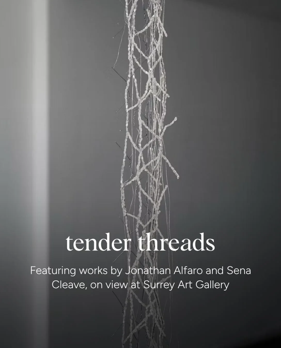 Surrey Art Gallery is pleased to present tender threads featuring works by Jonathan Alfaro and Sena Cleave, on view to December 6, 2026. Admission is free.
 
Bringing together textile, sculptural, and text-based works, this exhibition considers weavi