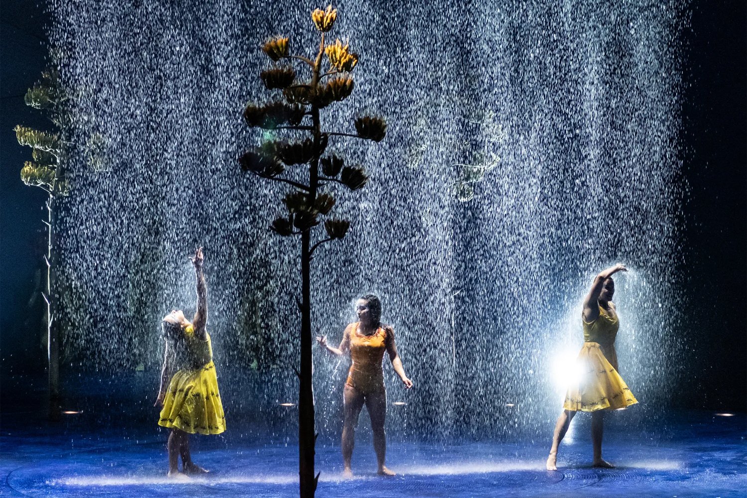 Cirque du Soleil’s LUZIA explores Mexico’s vibrant culture and nature