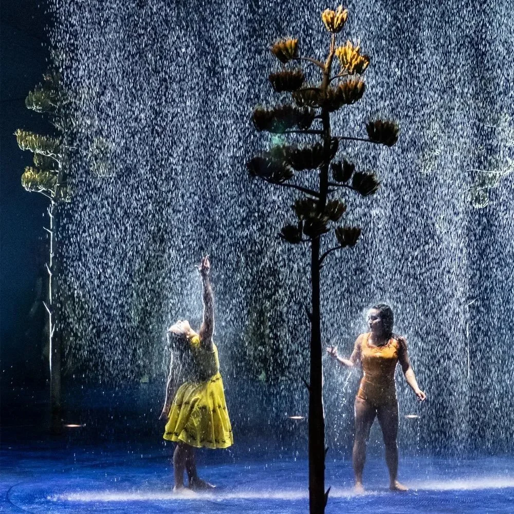 Cirque du Soleil&rsquo;s LUZIA explores Mexico&rsquo;s vibrant culture and nature. 

The touring production returns to Vancouver after seven years, featuring a 14-metre rain curtain and giant treadmills powered by 28 car batteries. 

&ldquo;Every tim