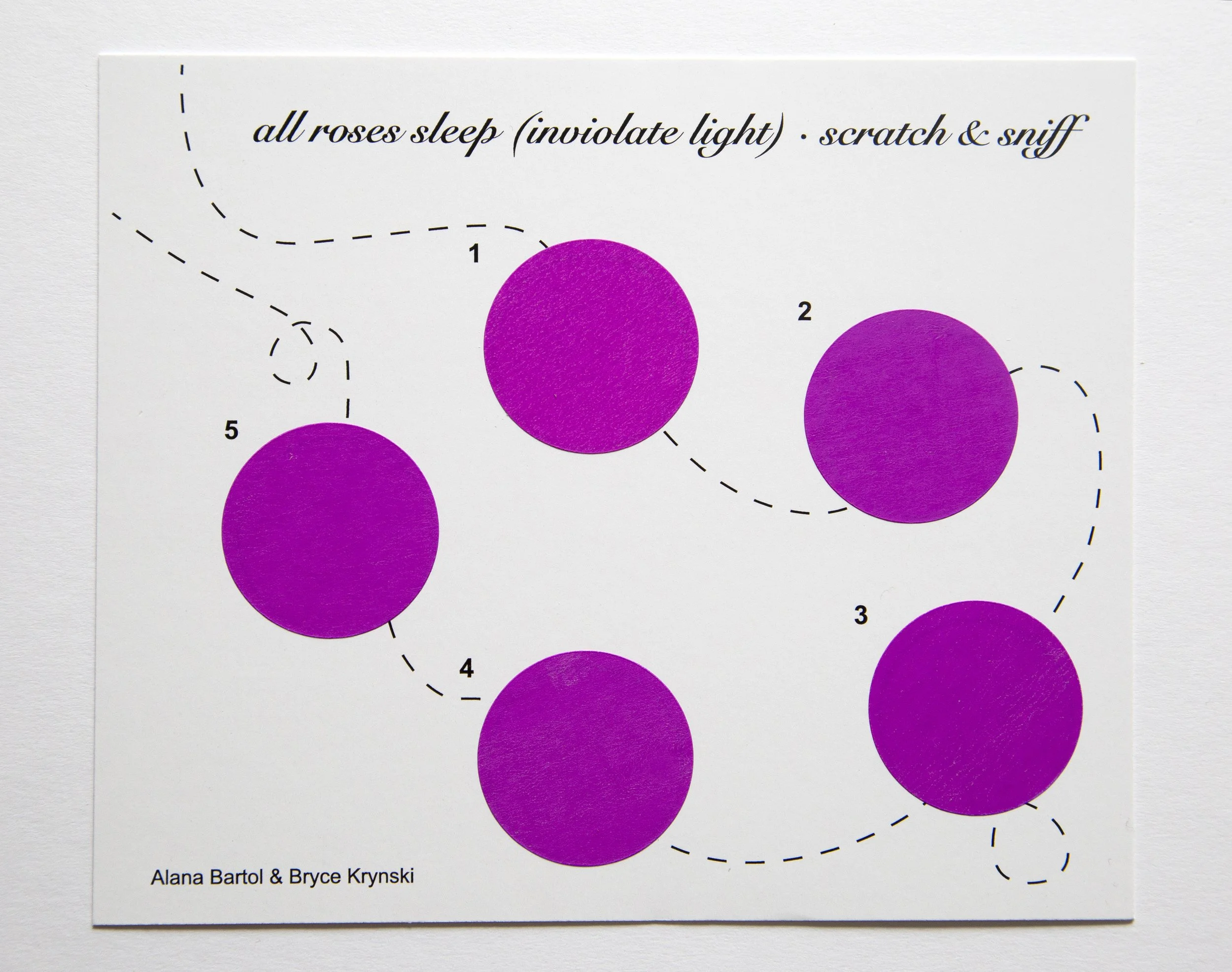 Surrey Art Gallery presents an online artist talk for all roses sleep ...